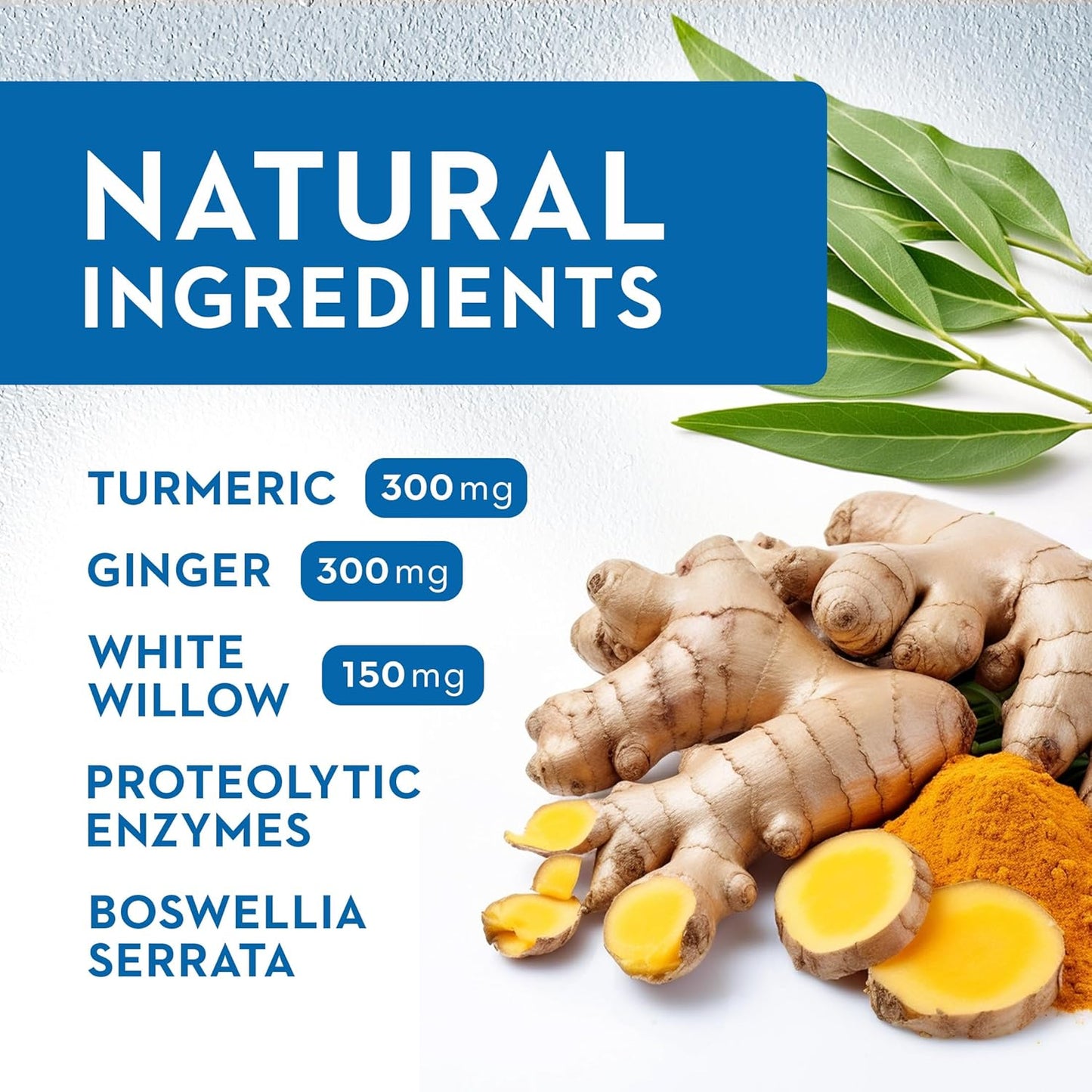 Inflamax Plus Supplement with Quercetin, Proteolytic Enzymes, Ginger, Turmeric - 121+ Vitaminerals Veggie Caps