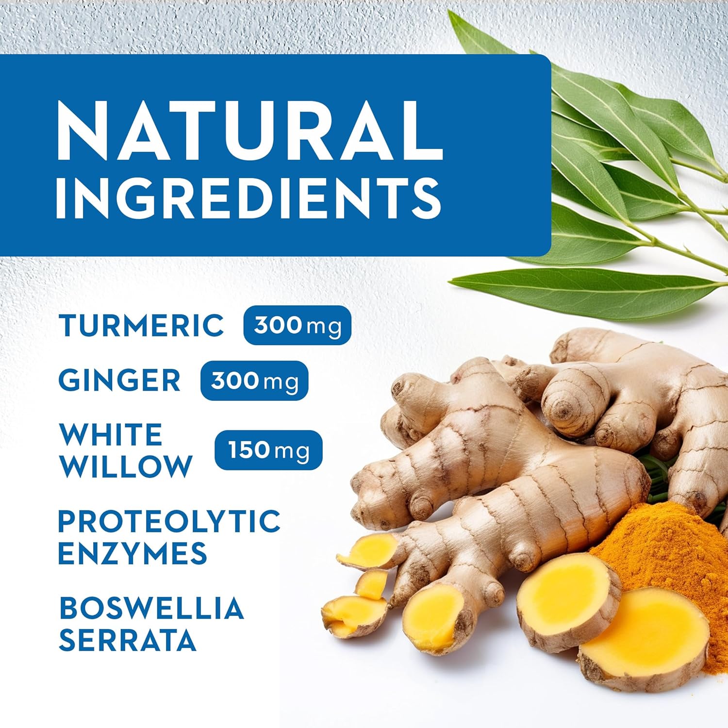 Inflamax Plus Supplement with Quercetin, Proteolytic Enzymes, Ginger, Turmeric - 121+ Vitaminerals Veggie Caps