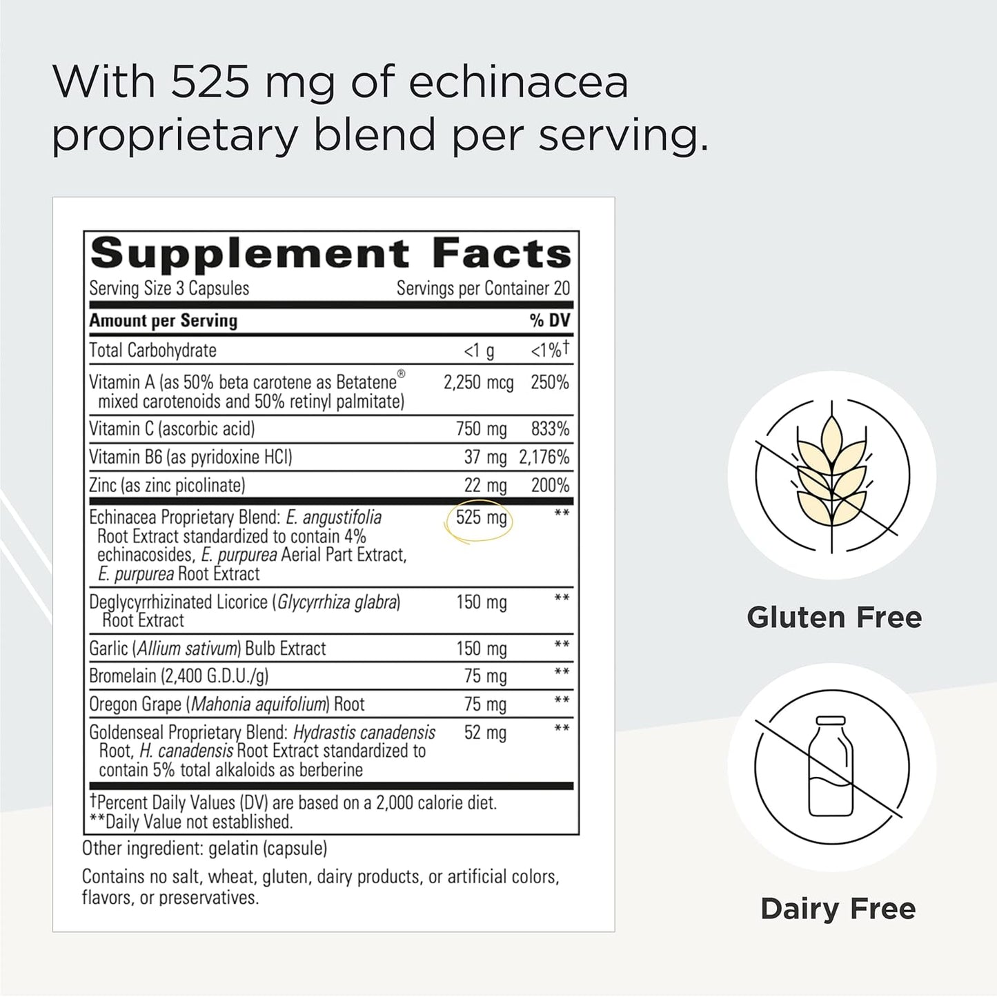 Integrative Therapeutics EHB Capsules - Immune Support with Echinacosides, Hydrastine, Berberine - 60 Count