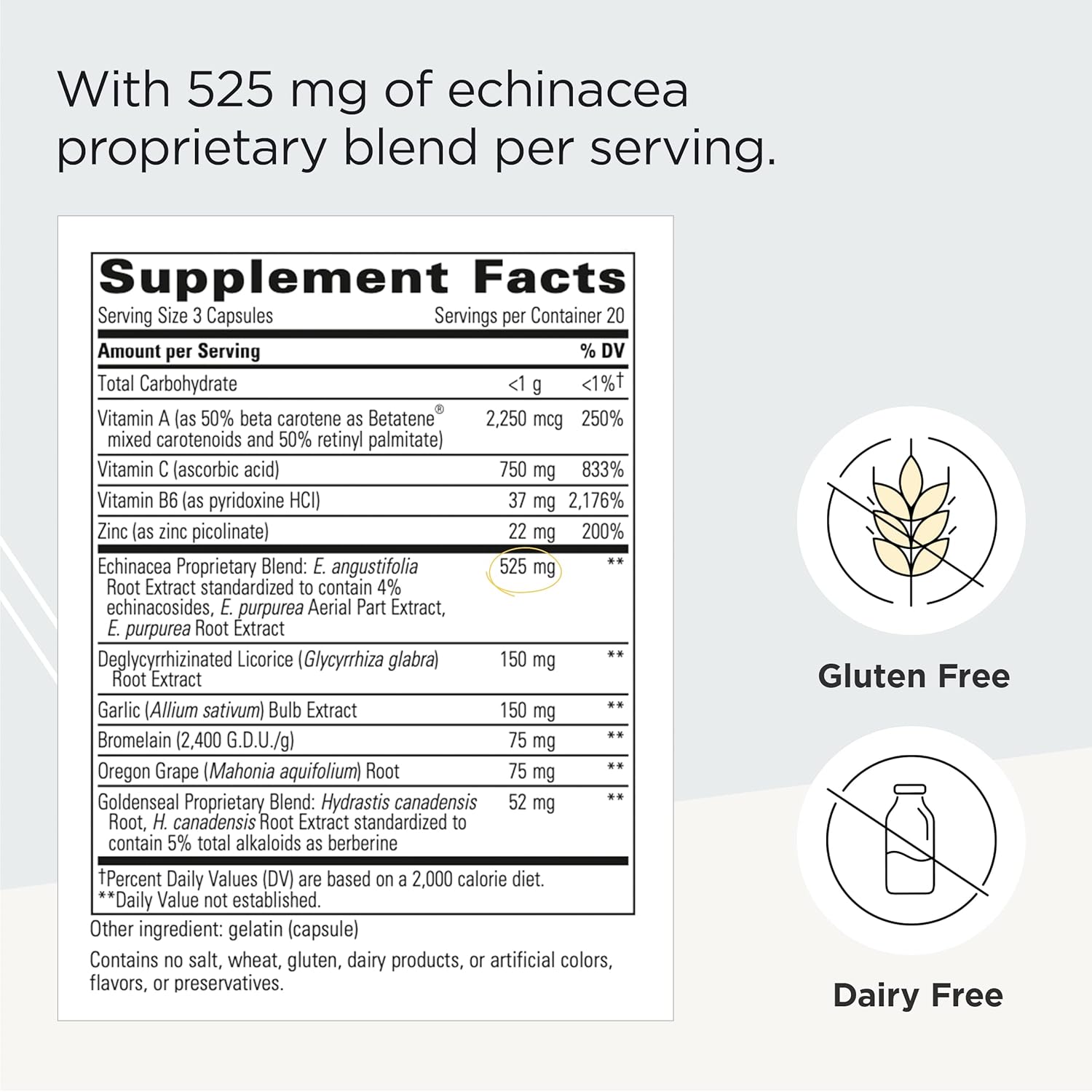 Integrative Therapeutics EHB Capsules - Immune Support with Echinacosides, Hydrastine, Berberine - 60 Count