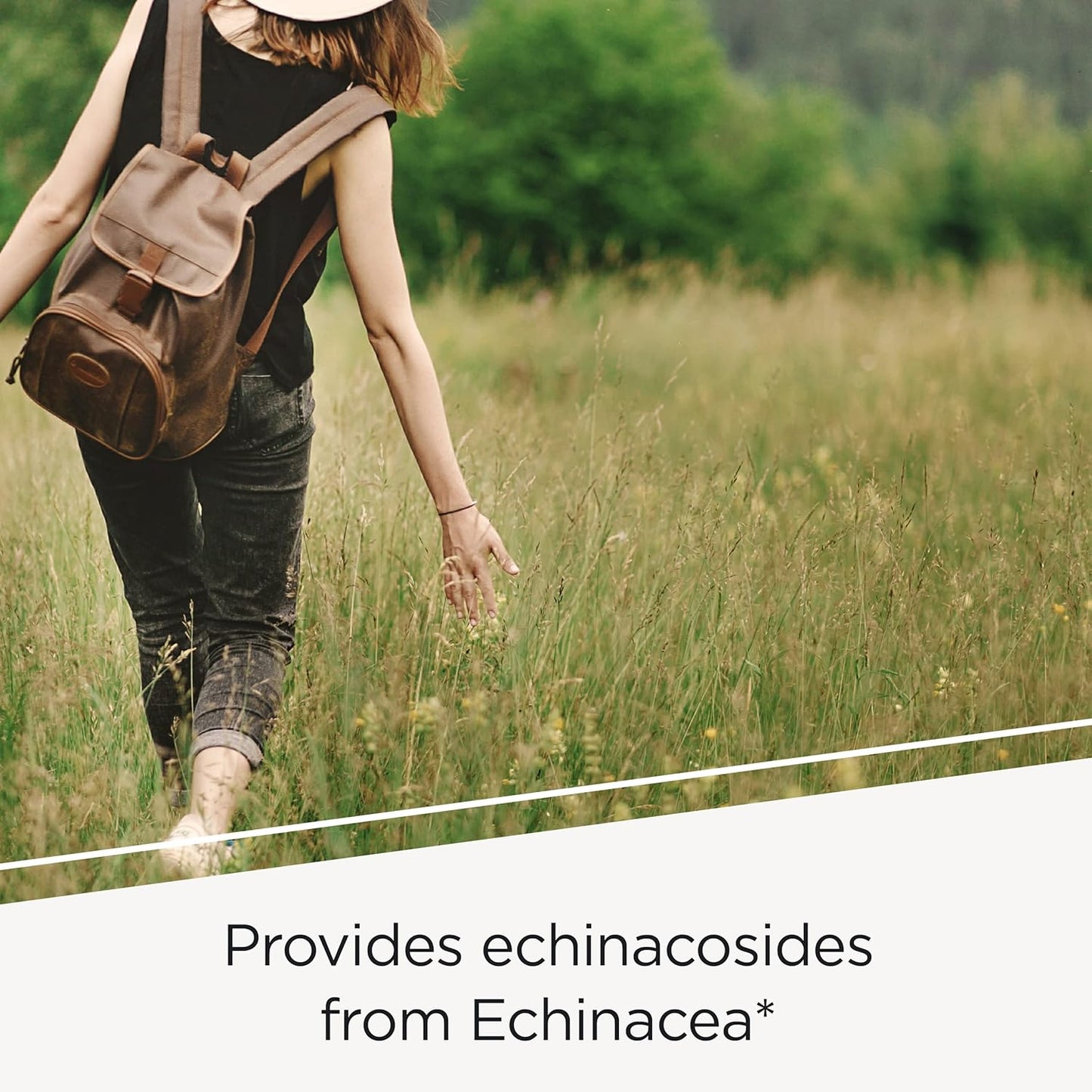 Integrative Therapeutics EHB Capsules - Immune Support with Echinacosides, Hydrastine, Berberine - 60 Count