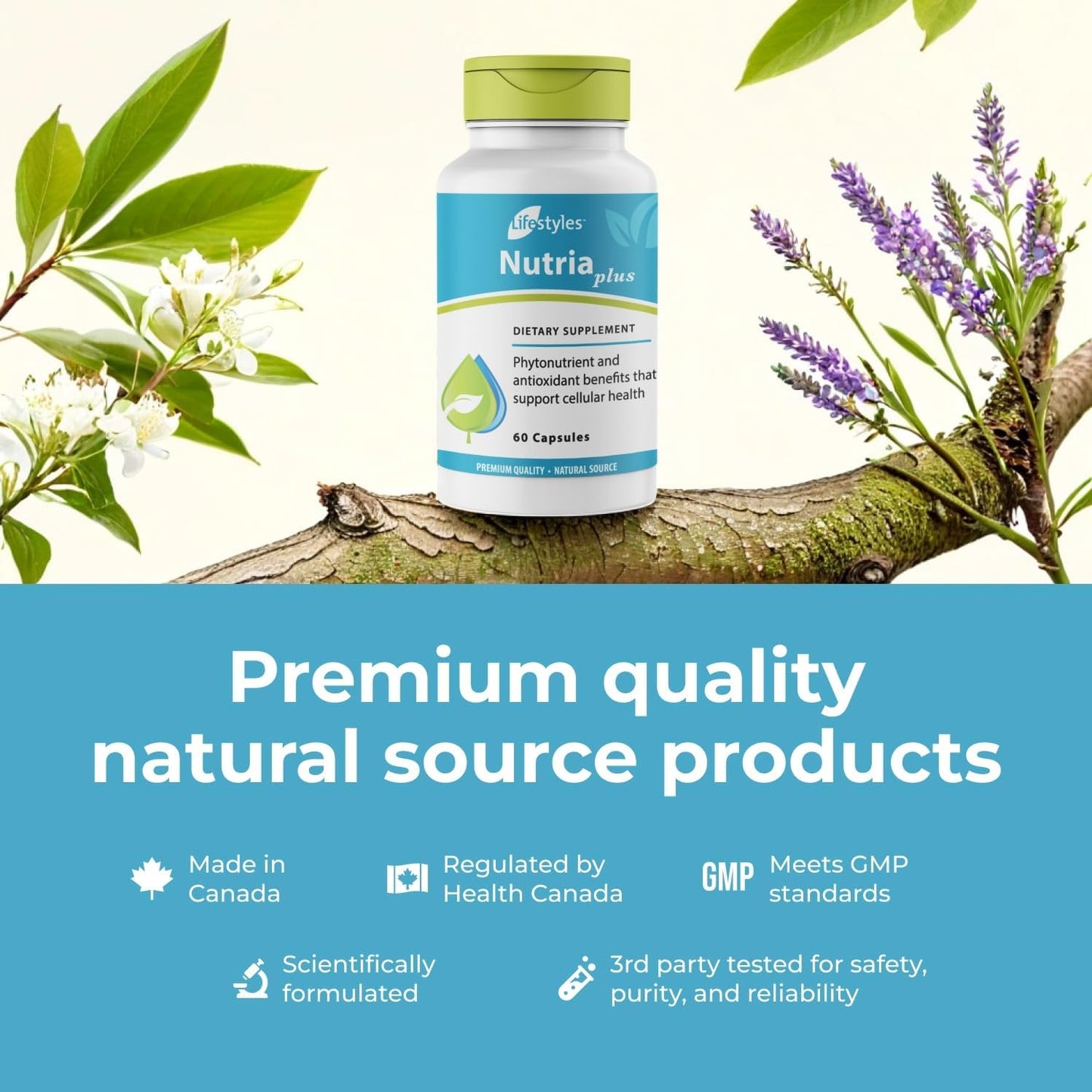 Intra Lifestyles NutriaPlus Antioxidant Supplement - Immune Support Multivitamin with Selenium, Vitamin C, Green Tea, Garlic - 60 Capsules