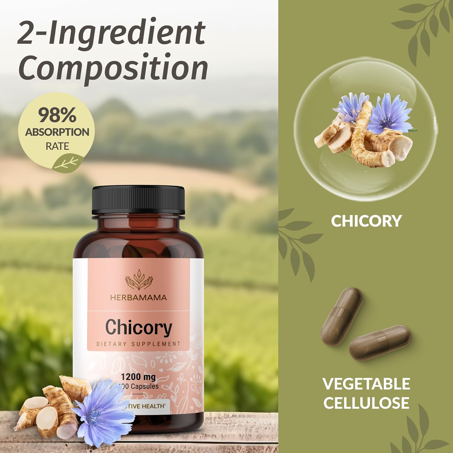 Inulin and Chicory Root Capsules Bundle - 1200 mg Fiber - Vegan, Non-GMO - 2 Pack