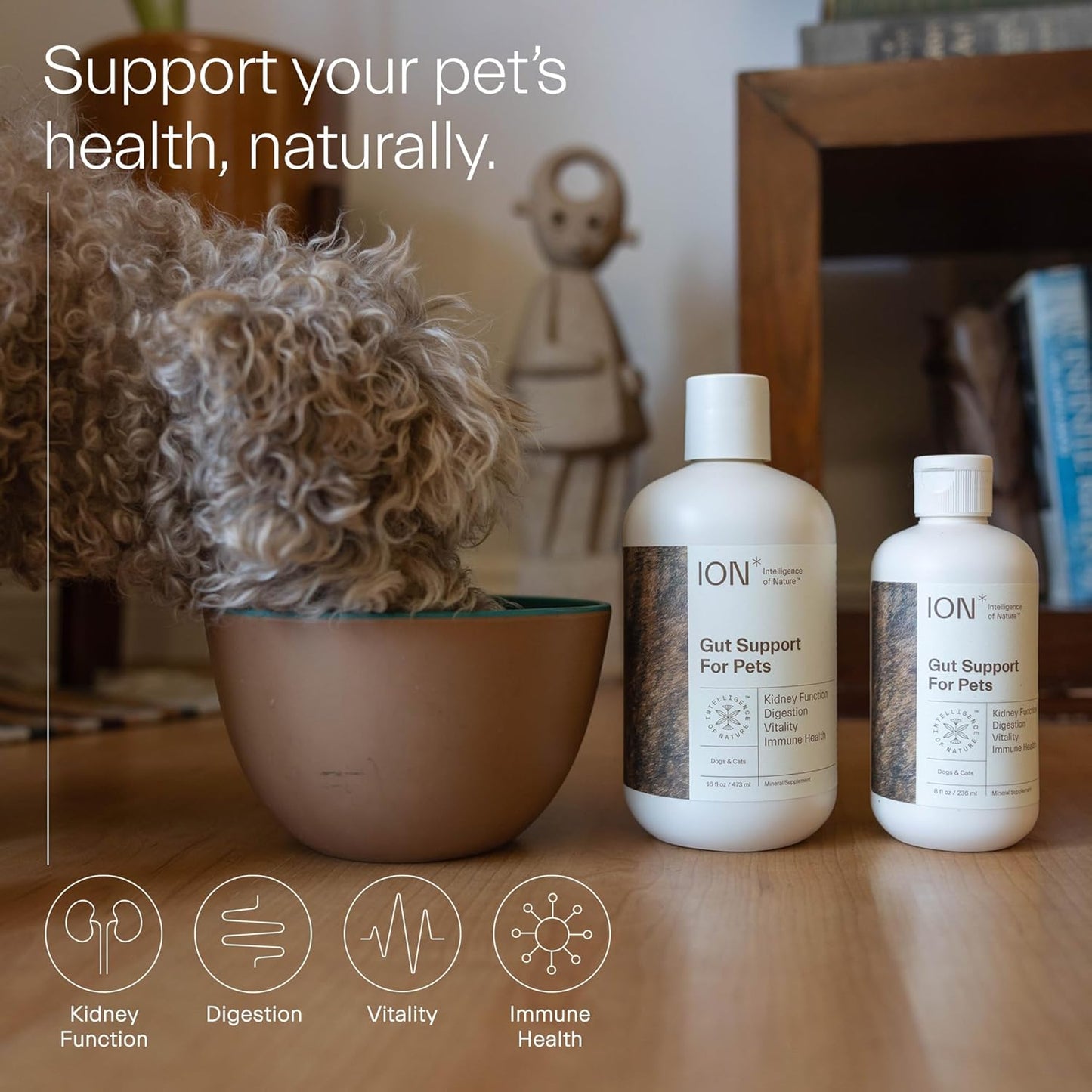 ION* Intelligence of Nature Gut Support for Pets - Digestion & Immune Boost (8 oz)