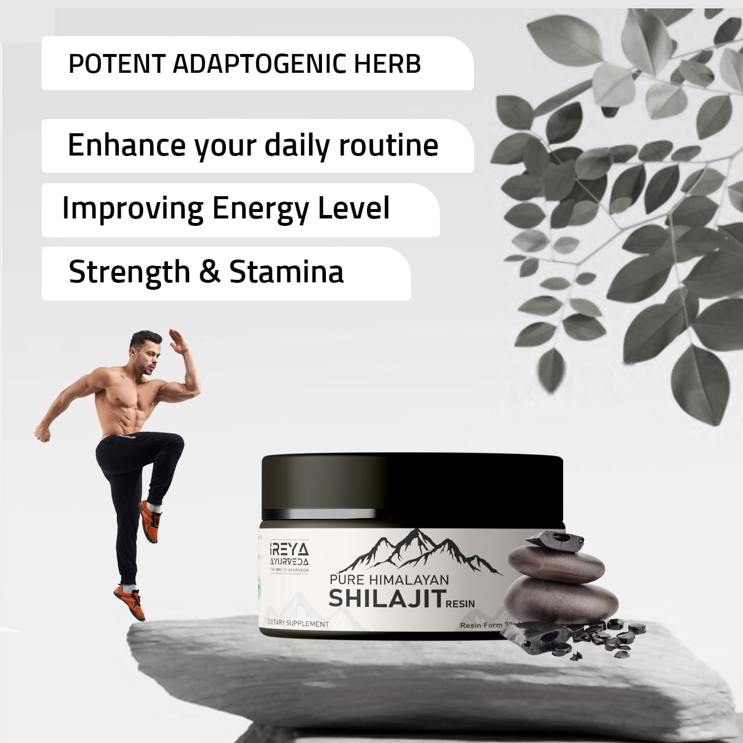 Ireya Ayurveda Moringa Turmeric and Himalayan Shilajit Capsules for Natural Wellness