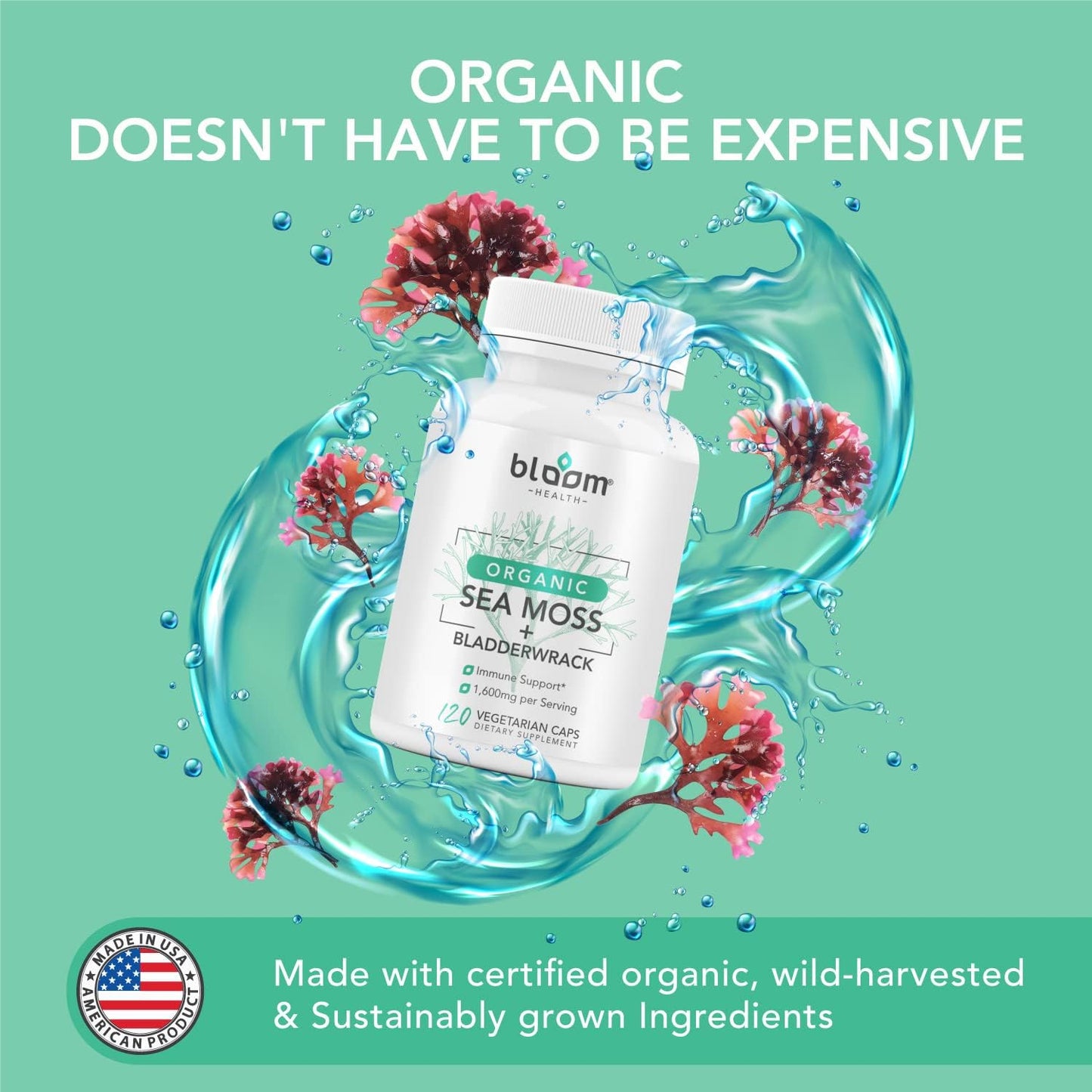 Irish Moss Supplement Capsules for Thyroid & Immune Support - Vegan Sea Moss Pills for Health - Non-GMO, Raw, 120 Vegetarian Capsules