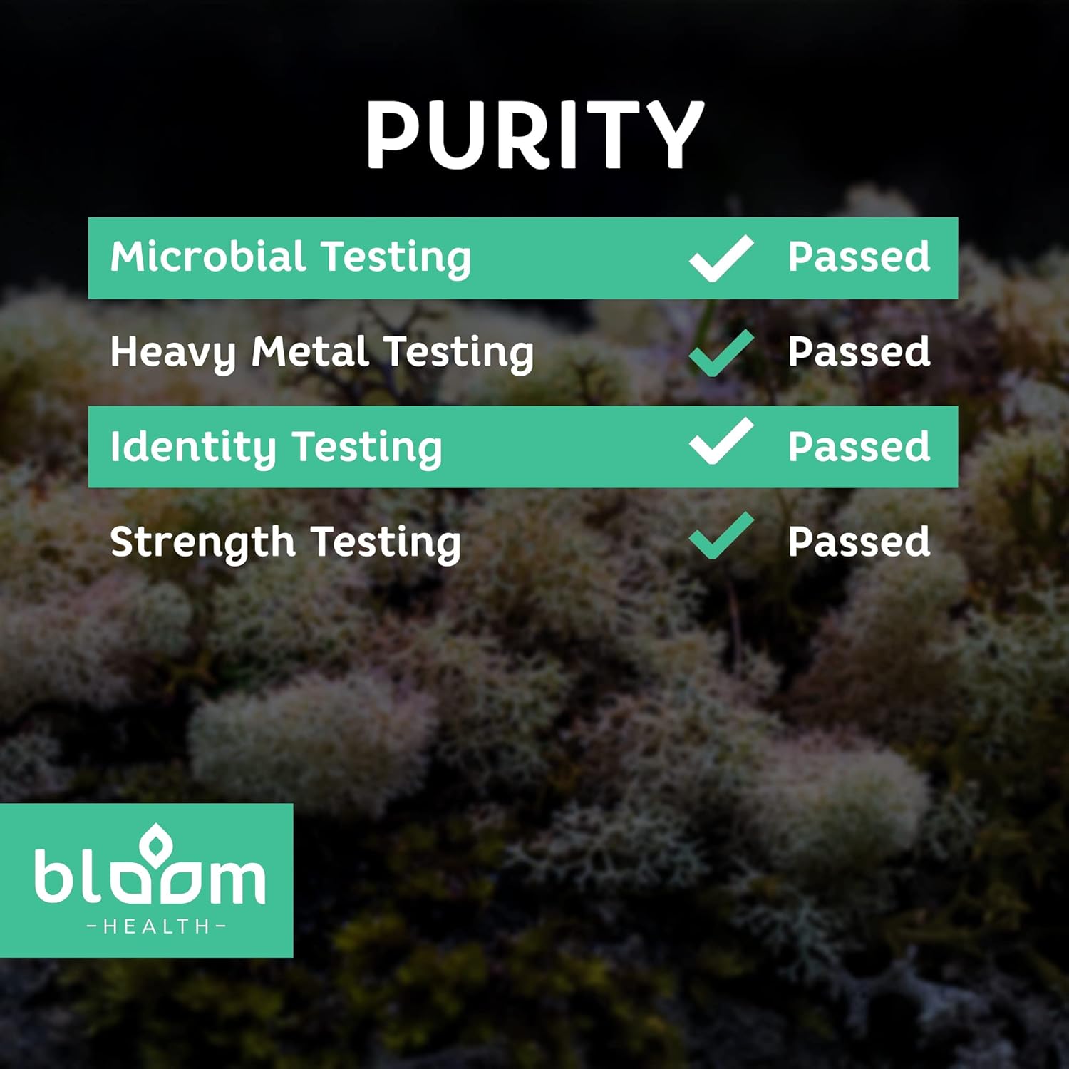 Irish Moss Supplement Capsules for Thyroid & Immune Support - Vegan Sea Moss Pills for Health - Non-GMO, Raw, 120 Vegetarian Capsules