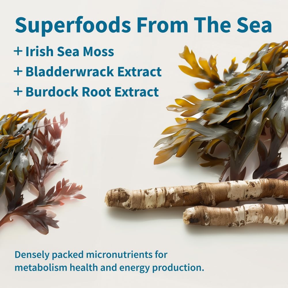 Irish Sea Moss Capsules with Bladderwrack, Burdock Root & Iodine for Energy Support - Boost Mood, Immunity, Digestion, & Skin Tone - 60 Capsules