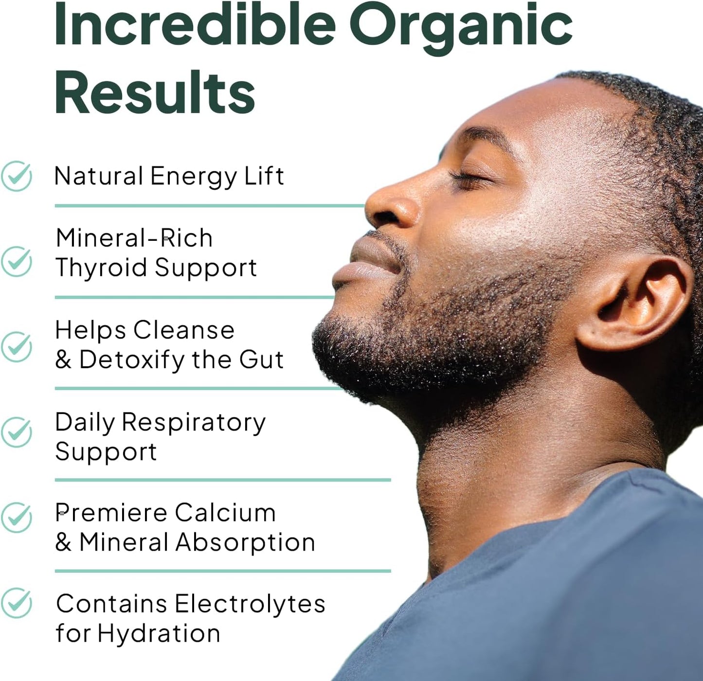 Irish Sea Moss Capsules with Chlorella, Bladderwrack, and Vitamin D - Organic Energy & Thyroid Support - 3 Bottles