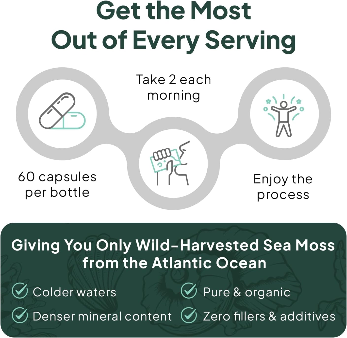 Irish Sea Moss Capsules with Chlorella, Bladderwrack, and Vitamin D - Organic Energy & Thyroid Support - 3 Bottles