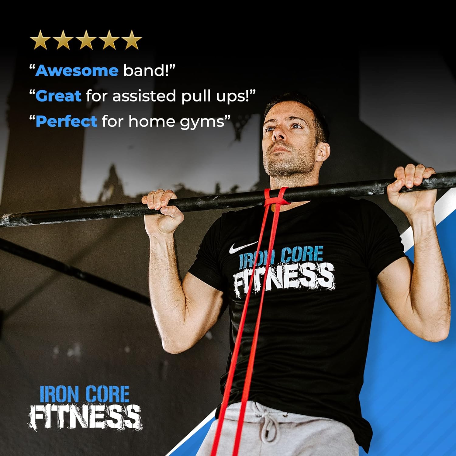 Iron Core Fitness Pull Up Assistance Resistance Bands - Enhance Strength, Power, and Flexibility with Home or Gym Training. Includes Ebooks and Workout Chart.