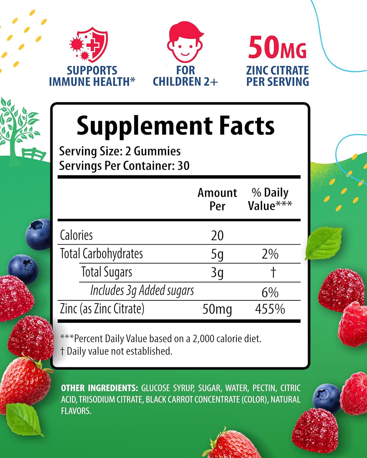 Iron Gummies for Adults with Vitamin C & Zinc - Sunny SAM Kids Formula