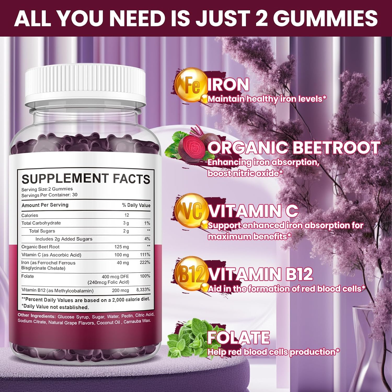 Iron Gummies Supplement (2 Pack) for Anemia with Vitamin C, B12, Folate - Blood Builder and Energy Support for Iron Deficiency - Grape Flavor, Vegan - 120 Gummies