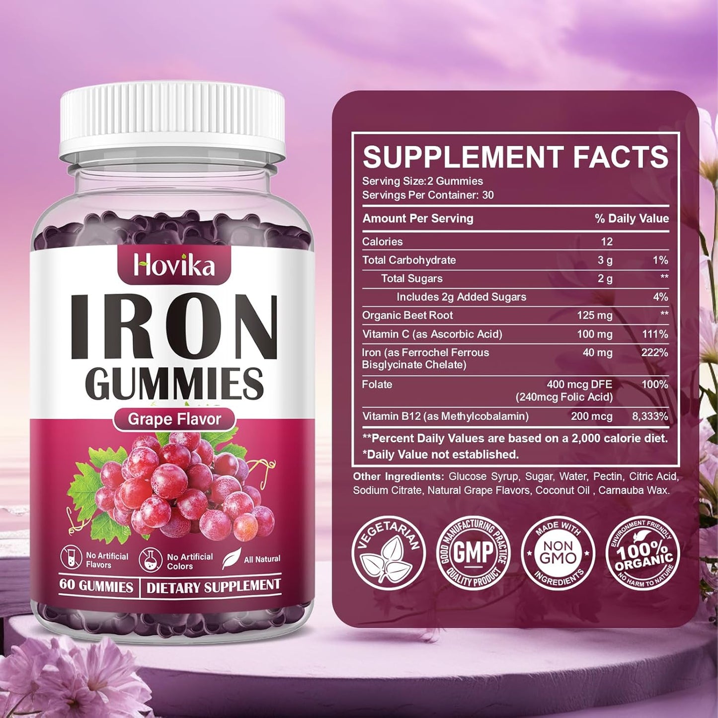 Iron Gummies Supplement (2 Pack) for Anemia with Vitamin C, B12, Folate - Blood Builder and Energy Support for Iron Deficiency - Grape Flavor, Vegan - 120 Gummies