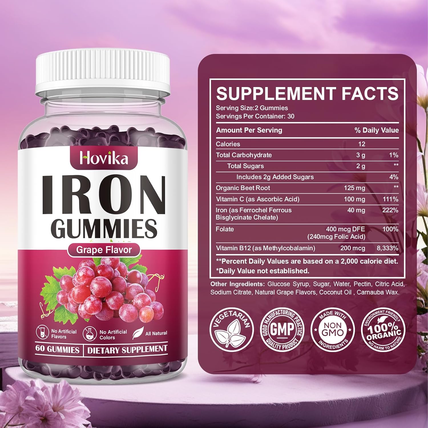 Iron Gummies Supplement (2 Pack) for Anemia with Vitamin C, B12, Folate - Blood Builder and Energy Support for Iron Deficiency - Grape Flavor, Vegan - 120 Gummies
