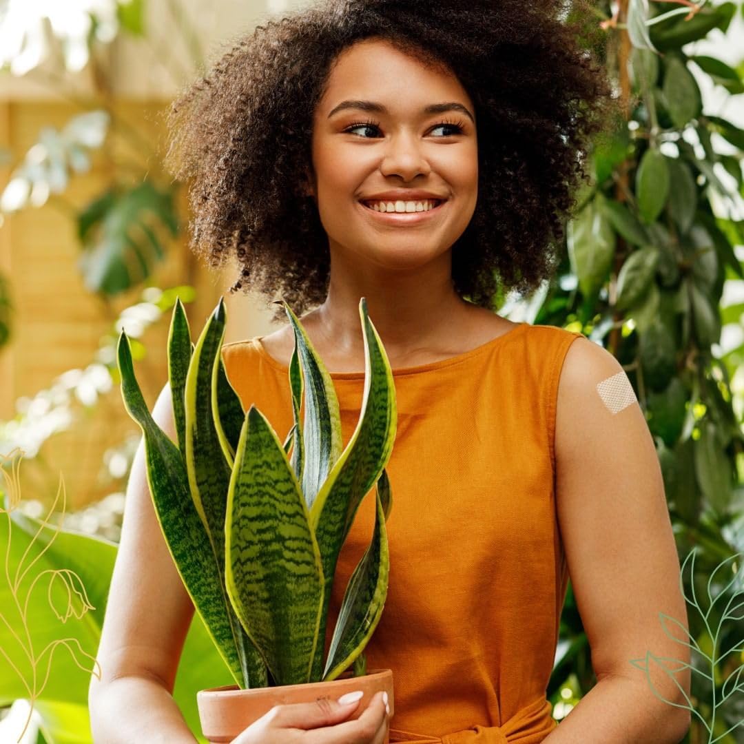 Iron Plus XLPATCH - 30-Day Supply for Enhanced Wellness and Energy