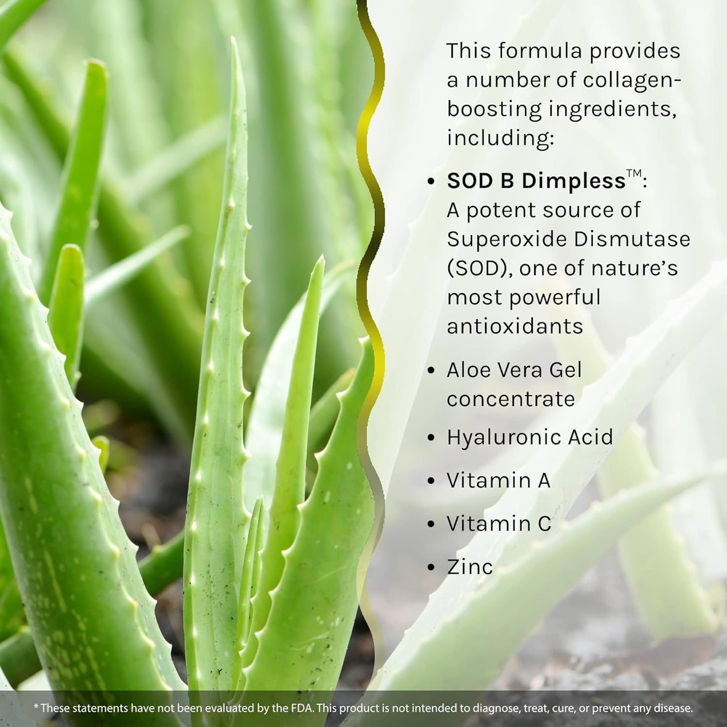 Irwin Naturals Cell-U-Thighs Liquid Softgels - 60 Count