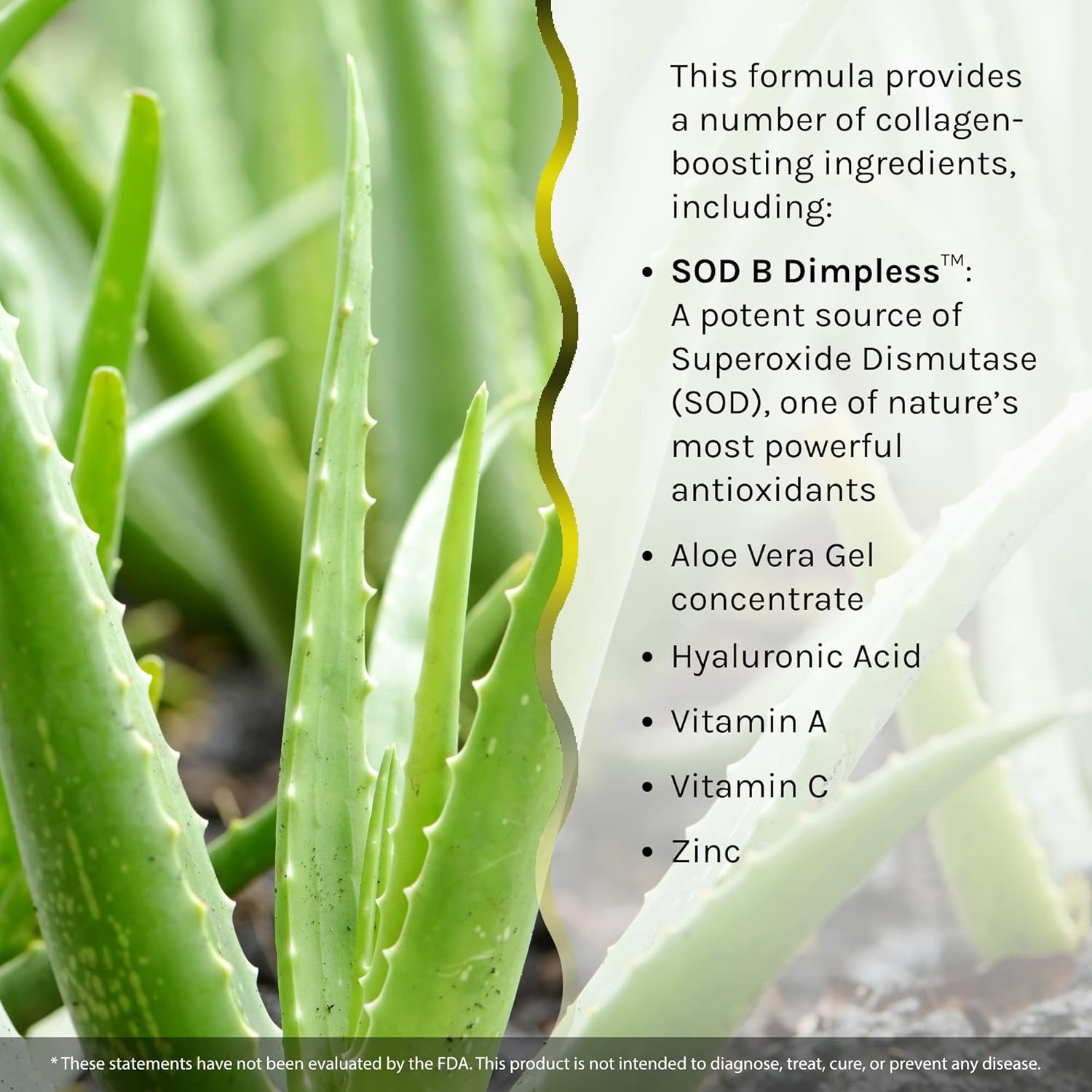 Irwin Naturals Cell-U-Thighs Liquid Softgels - 60 Count