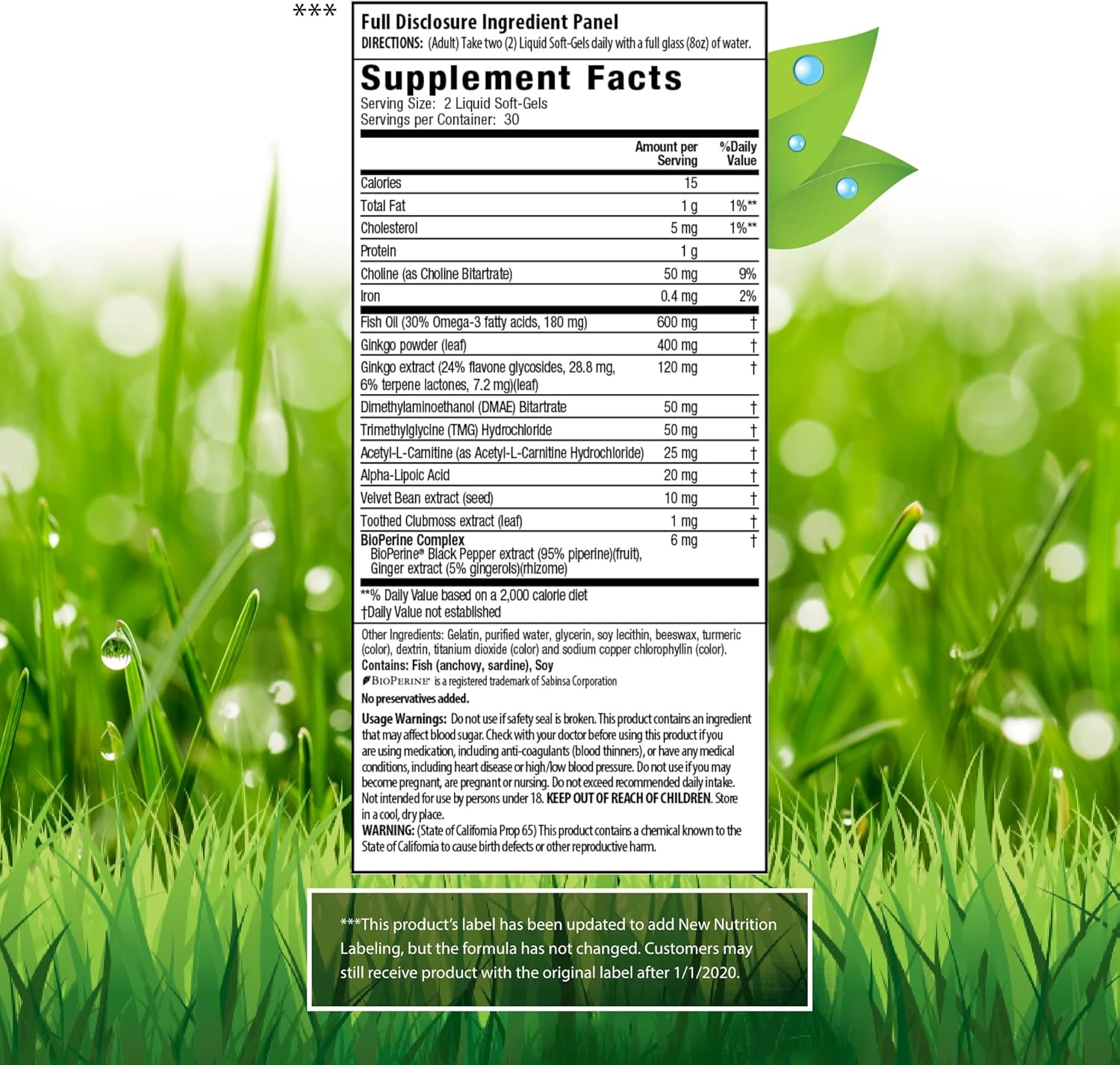 Irwin Naturals Ginkgo Smart Nootropic Brain Booster - Enhances Memory, Focus & Clarity - 60 Liquid Softgels