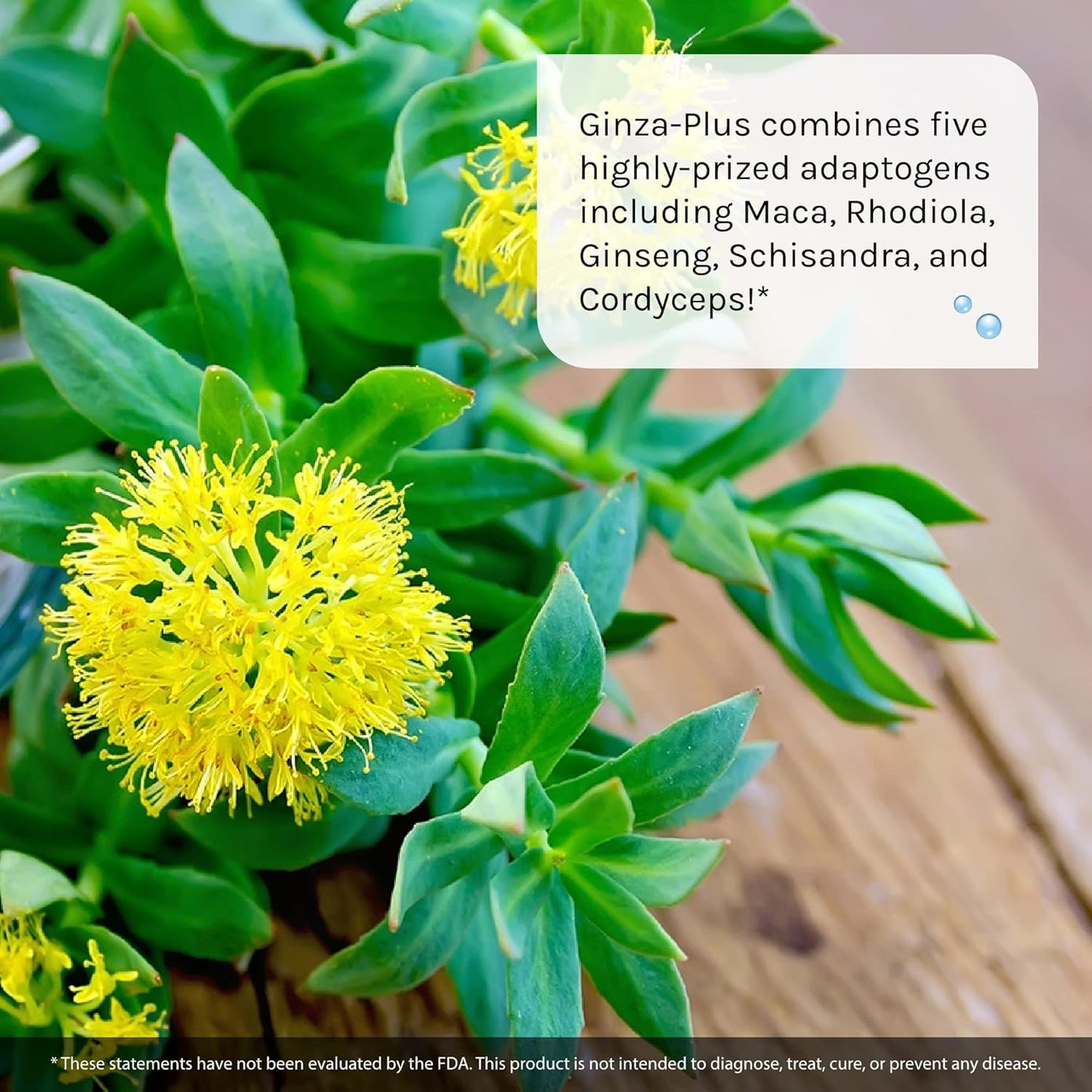 Irwin Naturals Ginza-Plus Maca & Rhodiola Liquid Softgels - Mental Balance & Stress Relief - 150 Softgels