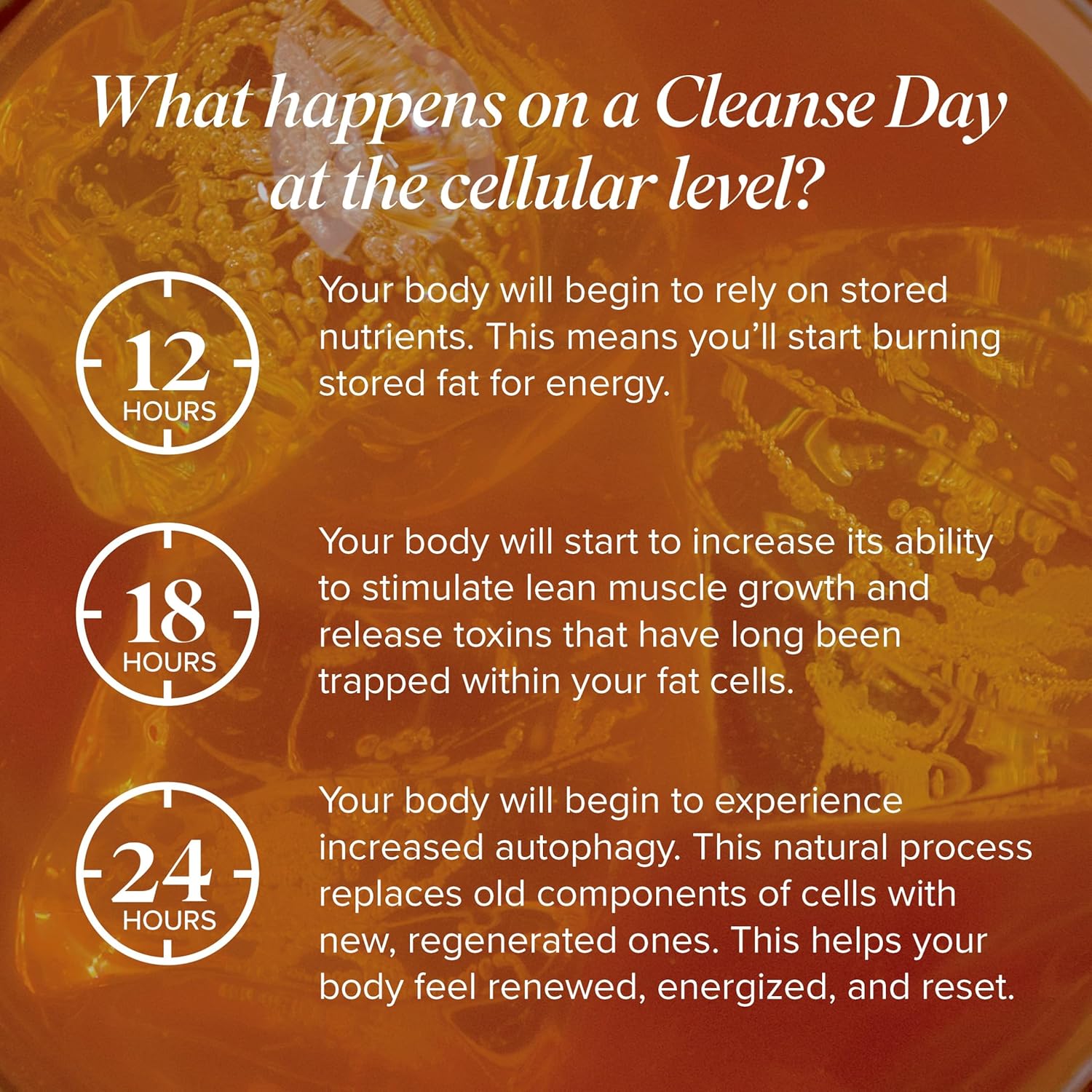 Isagenix Cleanse for Life Powder Supplement - Peach Mango Flavor - Supports Metabolism with Vitamin B12 & Niacin - 3.4 Oz (16 Servings)