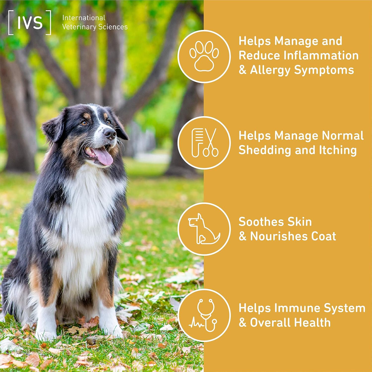 IVS Lipiderm Skin and Coat Fish Oil Omega 3 & 6 Supplement for Dogs - Made in USA - Soft Chews, 90 Count