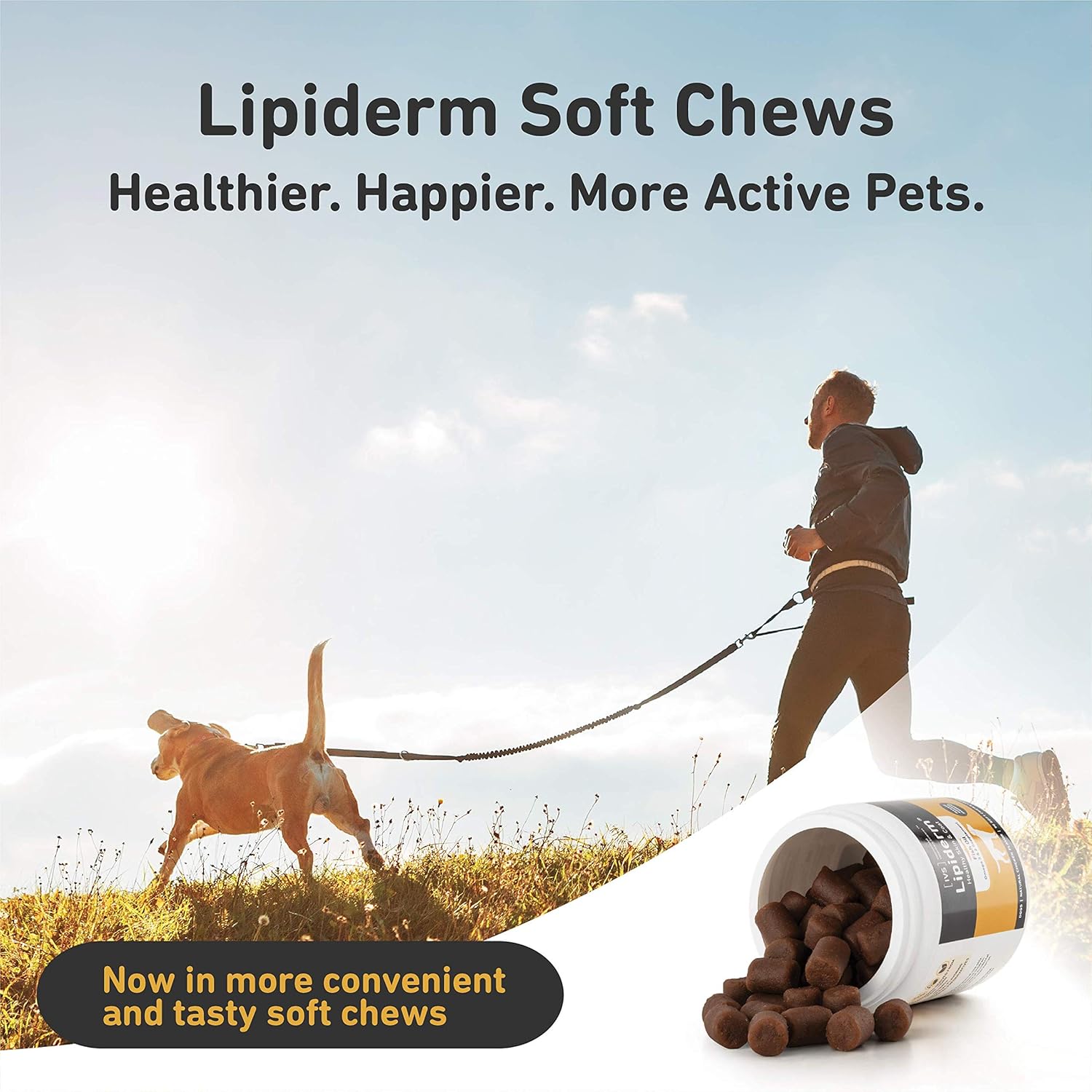 IVS Lipiderm Skin and Coat Fish Oil Omega 3 & 6 Supplement for Dogs - Made in USA - Soft Chews, 90 Count