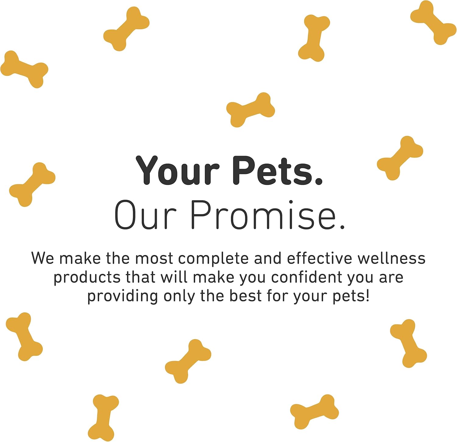 IVS Lipiderm Skin and Coat Fish Oil Omega 3 & 6 Supplement for Dogs - Made in USA - Soft Chews, 90 Count
