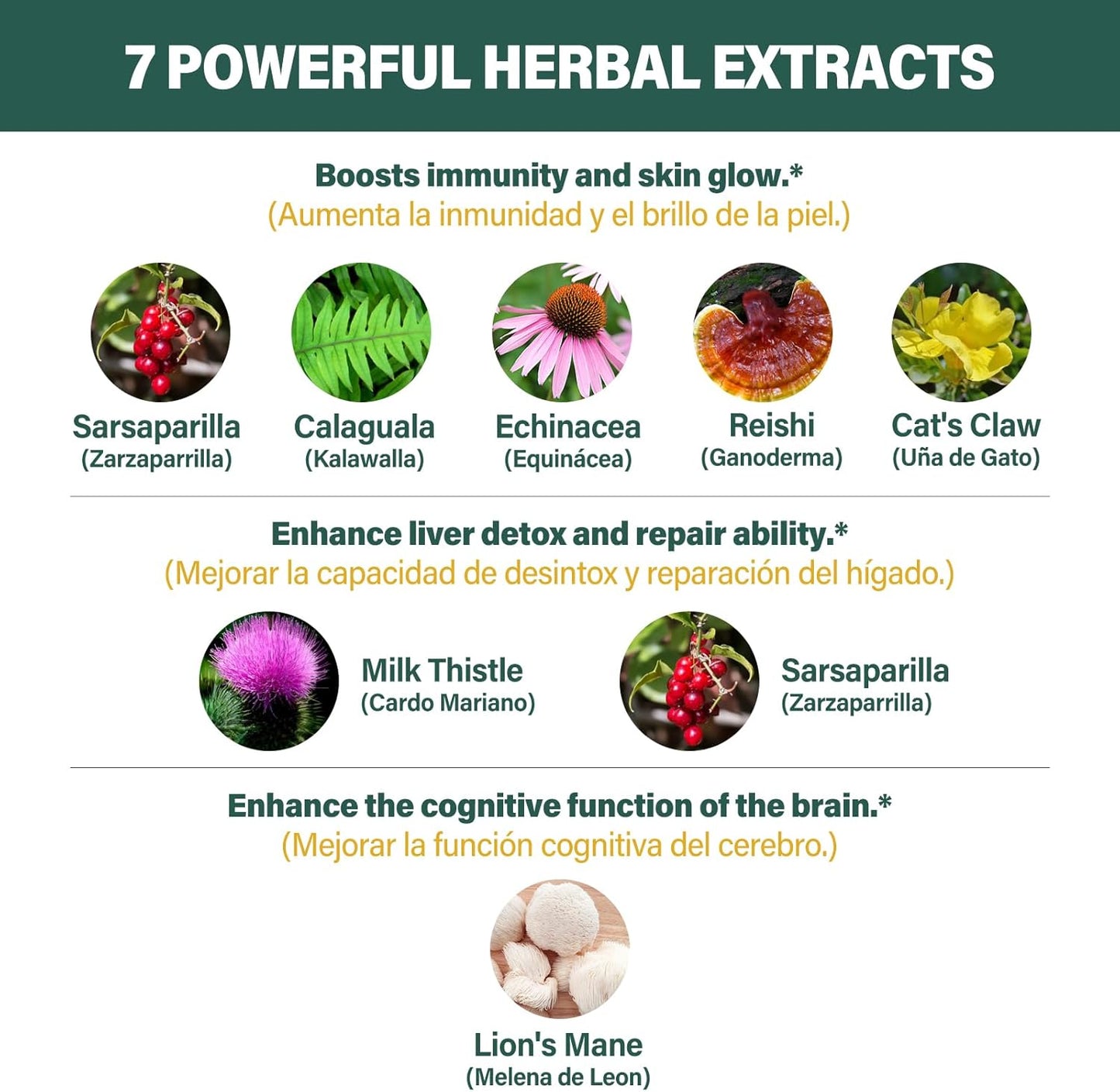 Jamaican Sarsaparilla Root Capsules for Immunity & Liver Detox with Kalawalla Milk Thistle - 90 Count