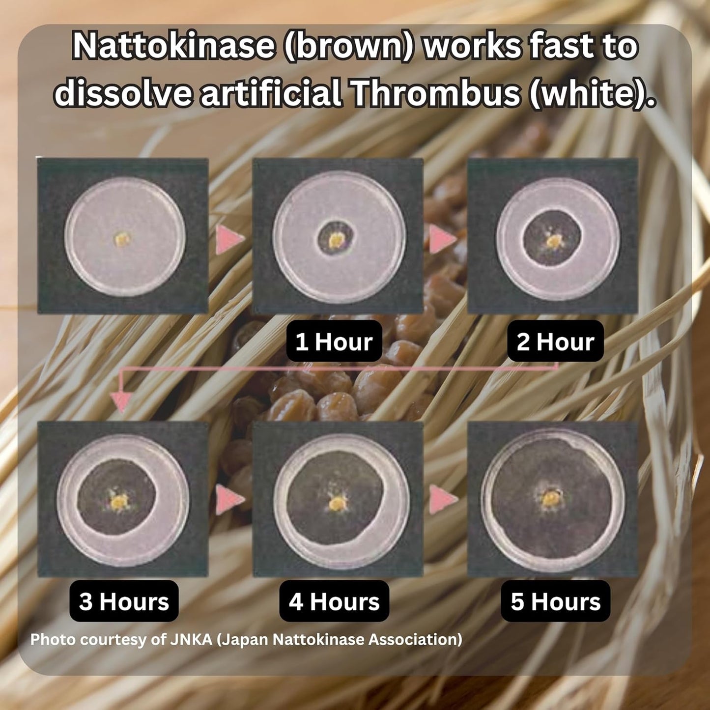 Japanese f Labo Nattokinase 2,000 FU and Kefir Supplement - Cardiovascular and Circulatory Support - Patented Formula - 30 Capsules