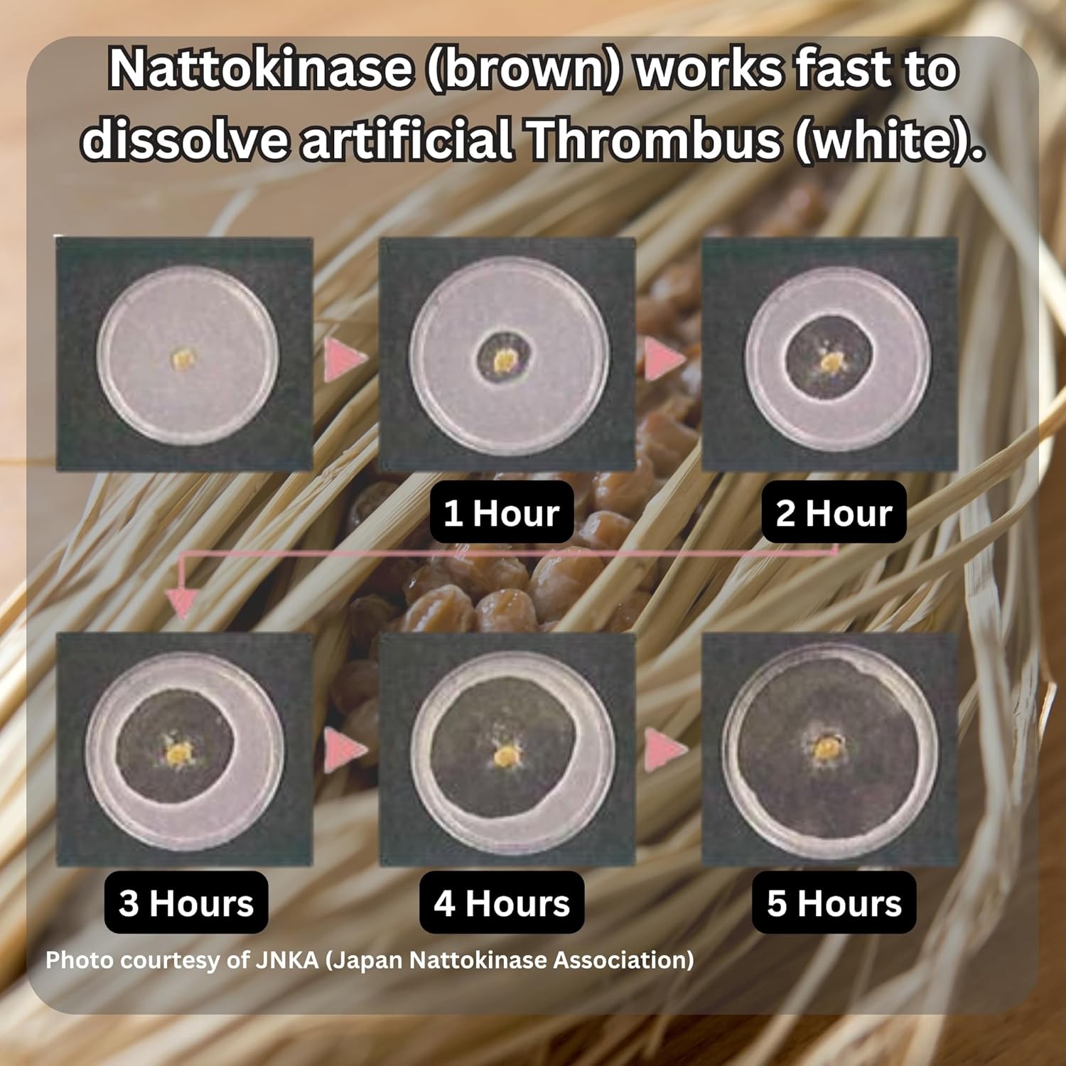 Japanese f Labo Nattokinase 2,000 FU and Kefir Supplement - Cardiovascular and Circulatory Support - Patented Formula - 30 Capsules