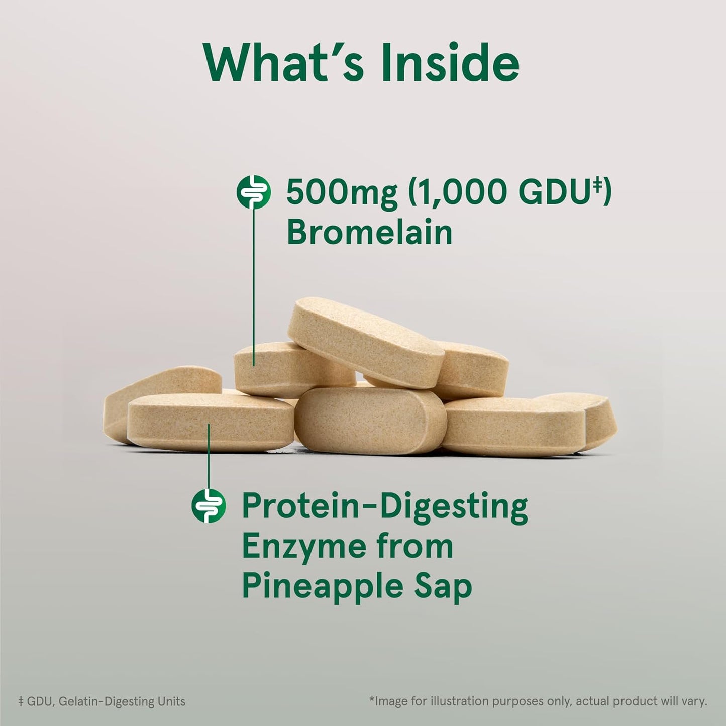 Jarrow Formulas Bromelain 500 mg Tablets for Protein Digestion - 720 Tablets, 60 Day Supply (12 Pack)