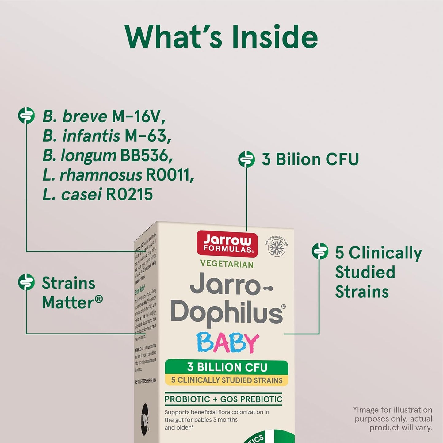 Jarrow Formulas Jarro-Dophilus Baby Probiotic Powder with GOS Prebiotic, 60 Day Supply - Pack of 12