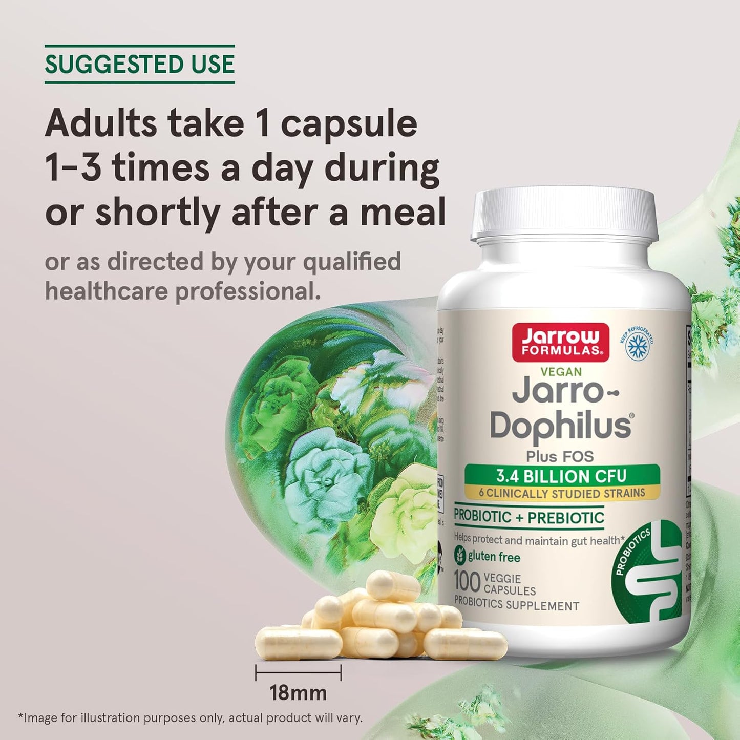Jarrow Formulas Jarro-Dophilus + FOS - Prebiotic & Probiotic Supplement - 3.4 Billion CFU - Immune & Intestine Support - 100 Servings