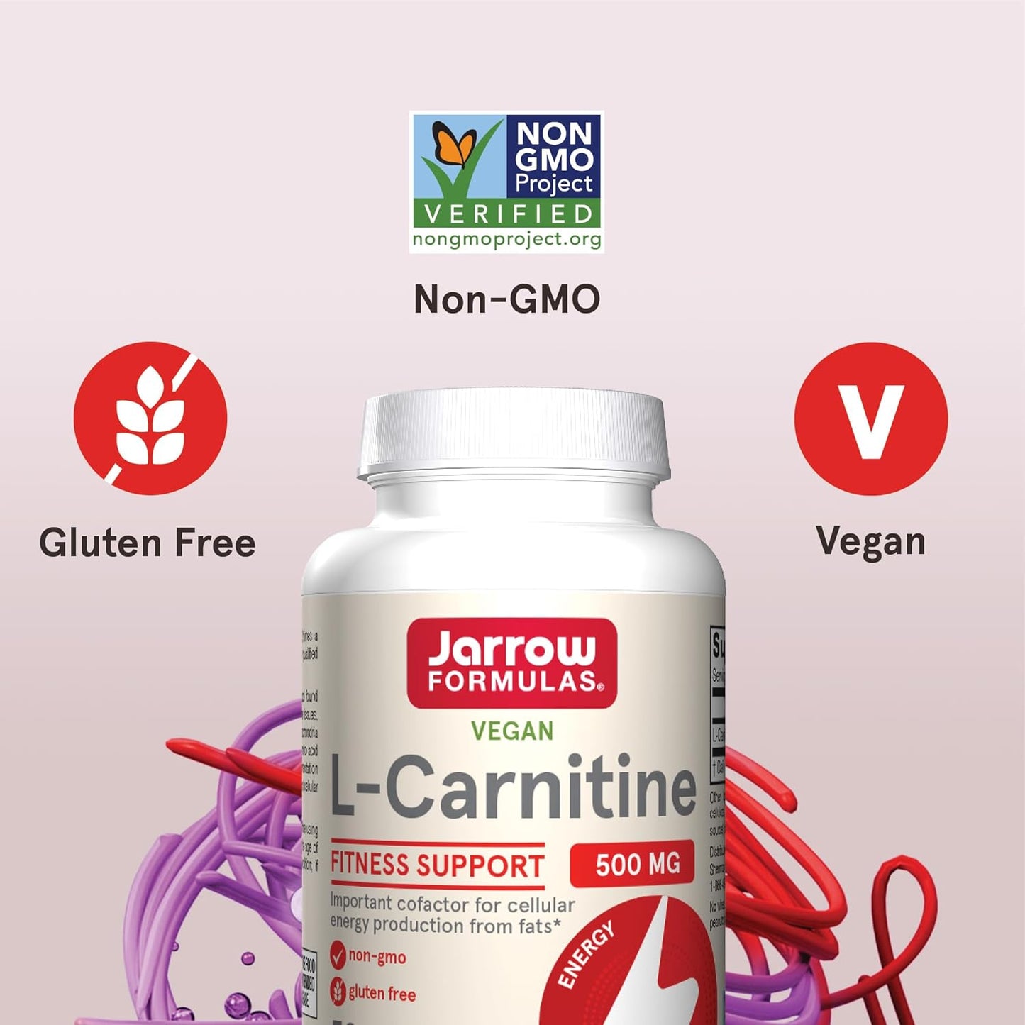Jarrow Formulas L-Carnitine 500 mg Veggie Capsules - 600 Count, Dietary Supplement for Cellular Energy Production