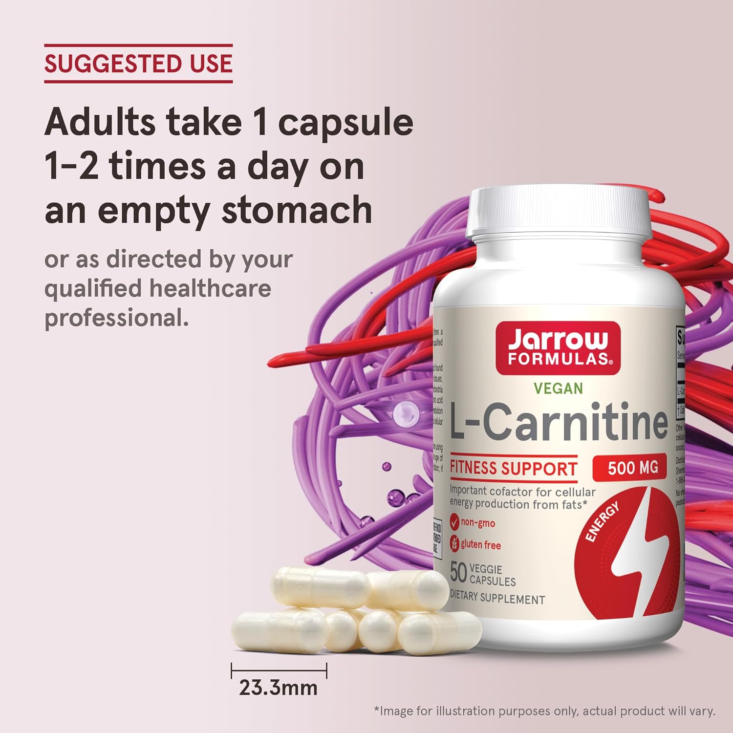 Jarrow Formulas L-Carnitine 500 mg Veggie Capsules - 600 Count, Dietary Supplement for Cellular Energy Production