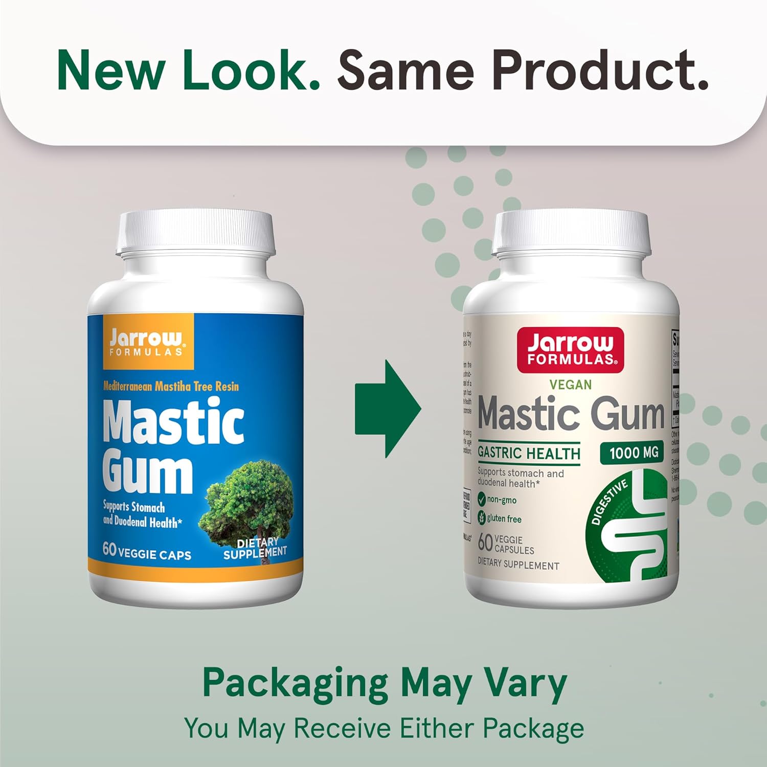 Jarrow Formulas Mastic Gum 1000 mg Capsules - 60 Veggie Caps, Gastrointestinal Health Support - 30 Day Supply (Pack of 12) - BoostGo Australia