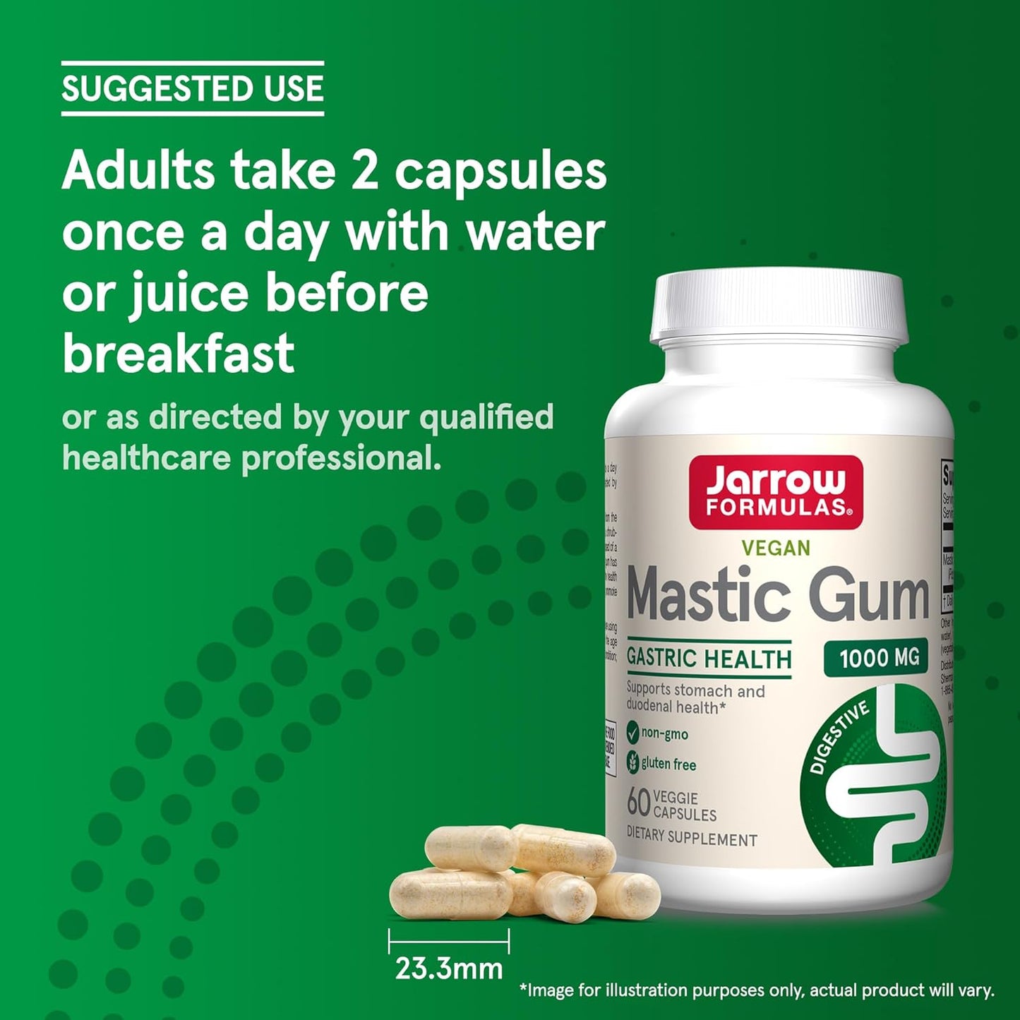 Jarrow Formulas Mastic Gum 1000 mg Capsules - 60 Veggie Caps, Gastrointestinal Health Support - 30 Day Supply (Pack of 12) - BoostGo Australia