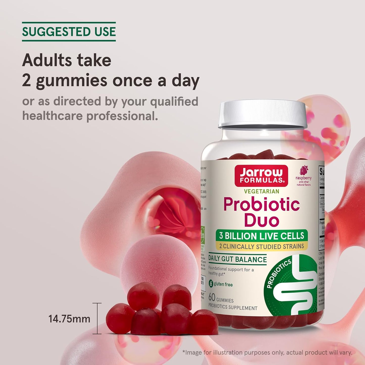Jarrow Formulas® Probiotic Duo Raspberry Flavor Gummies, 60 Count, 3 Billion Live Cells for Immune Health & Digestive Support
