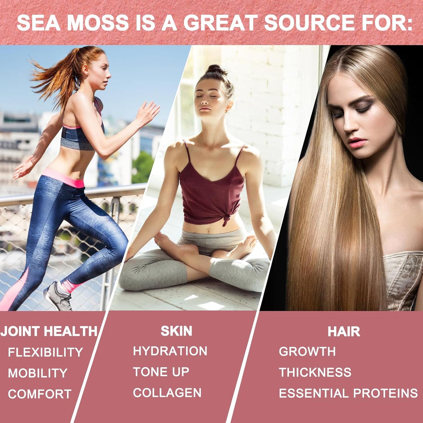JINGYAT Sea Moss Black Seed Oil Ashwagandha Ginger Liquid Drops with Burdock Root & Bladderwrack for Immune, Skin, & Hair Health - Vegan Irish Sea Moss, High in Vitamins, 6X Potency