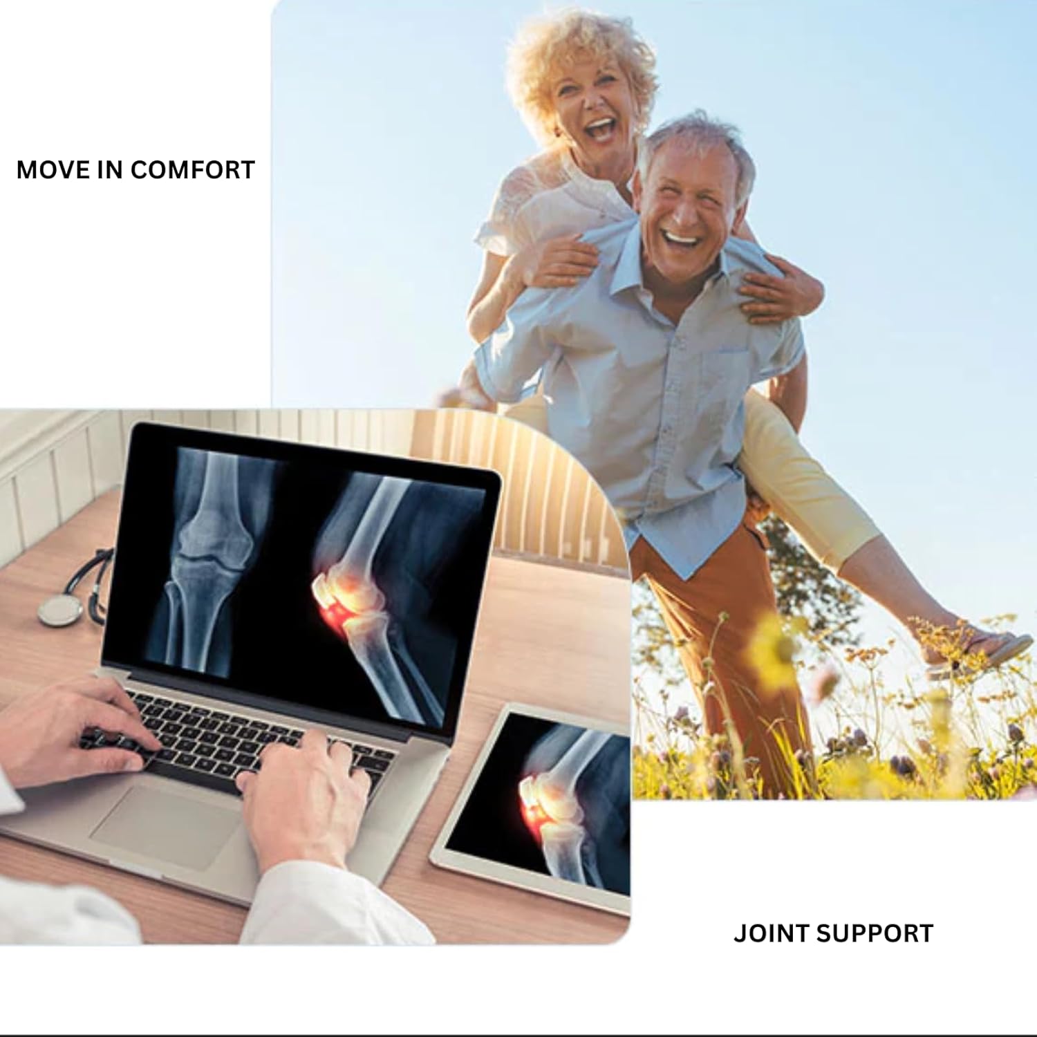 Joint Health Support Capsules with Boswellia, MSM, and Turmeric - Back, Bones, Mobility, and Cartilage Support - 60 Capsules from Phytage Labs