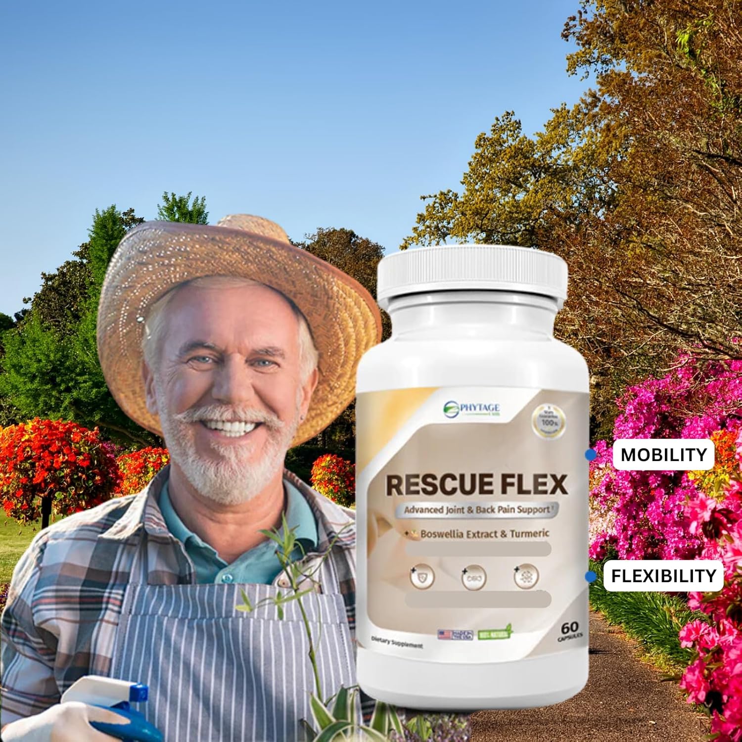 Joint Health Support Capsules with Boswellia, MSM, and Turmeric - Back, Bones, Mobility, and Cartilage Support - 60 Capsules from Phytage Labs
