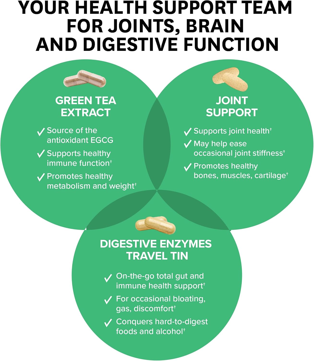 Joint Support Green Tea Extract with Free Travel Size Enzymes - Zenwise Health