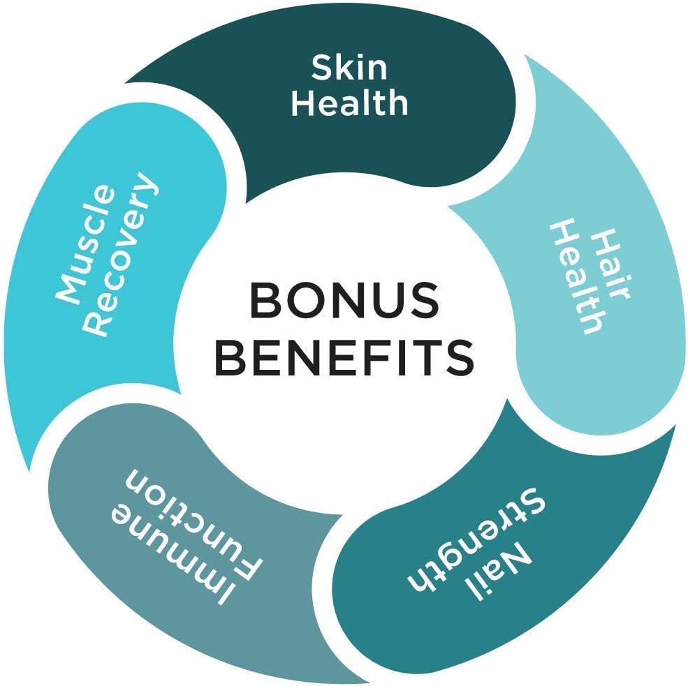 JointGel Bundle: Ultimate HA Joint Gel + Ultimate H.A. Powder - Bioactive Collagen, MSM, Quercetin, Hyaluronic Acid - Berry Flavor