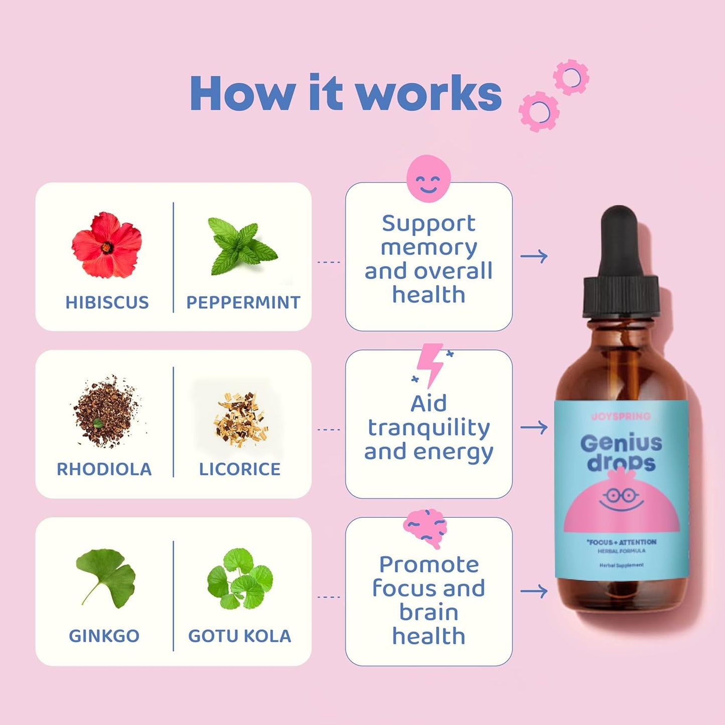 JoySpring Genius Drops for Kids | Herbal Focus Supplement with Ginkgo Biloba | Clinically Proven Liquid Formula (1 fl oz)