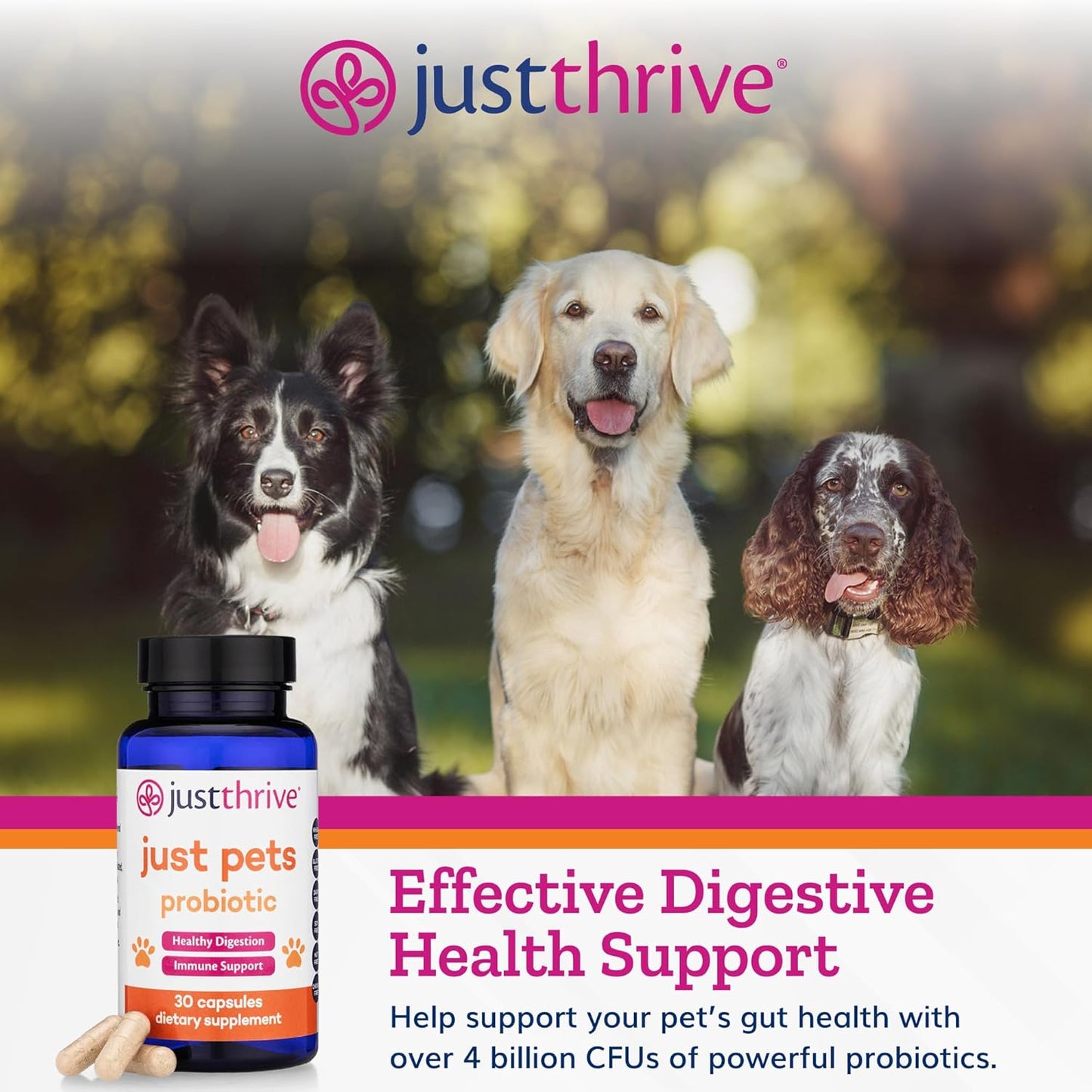 Just Thrive Just Pets Probiotic - 4 Billion CFUs Daily Digestive Probiotics for Dogs and Cats - 30 Capsules