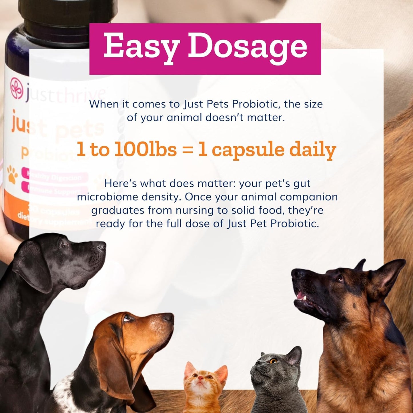 Just Thrive Just Pets Probiotic - 4 Billion CFUs Daily Digestive Probiotics for Dogs and Cats - 30 Capsules