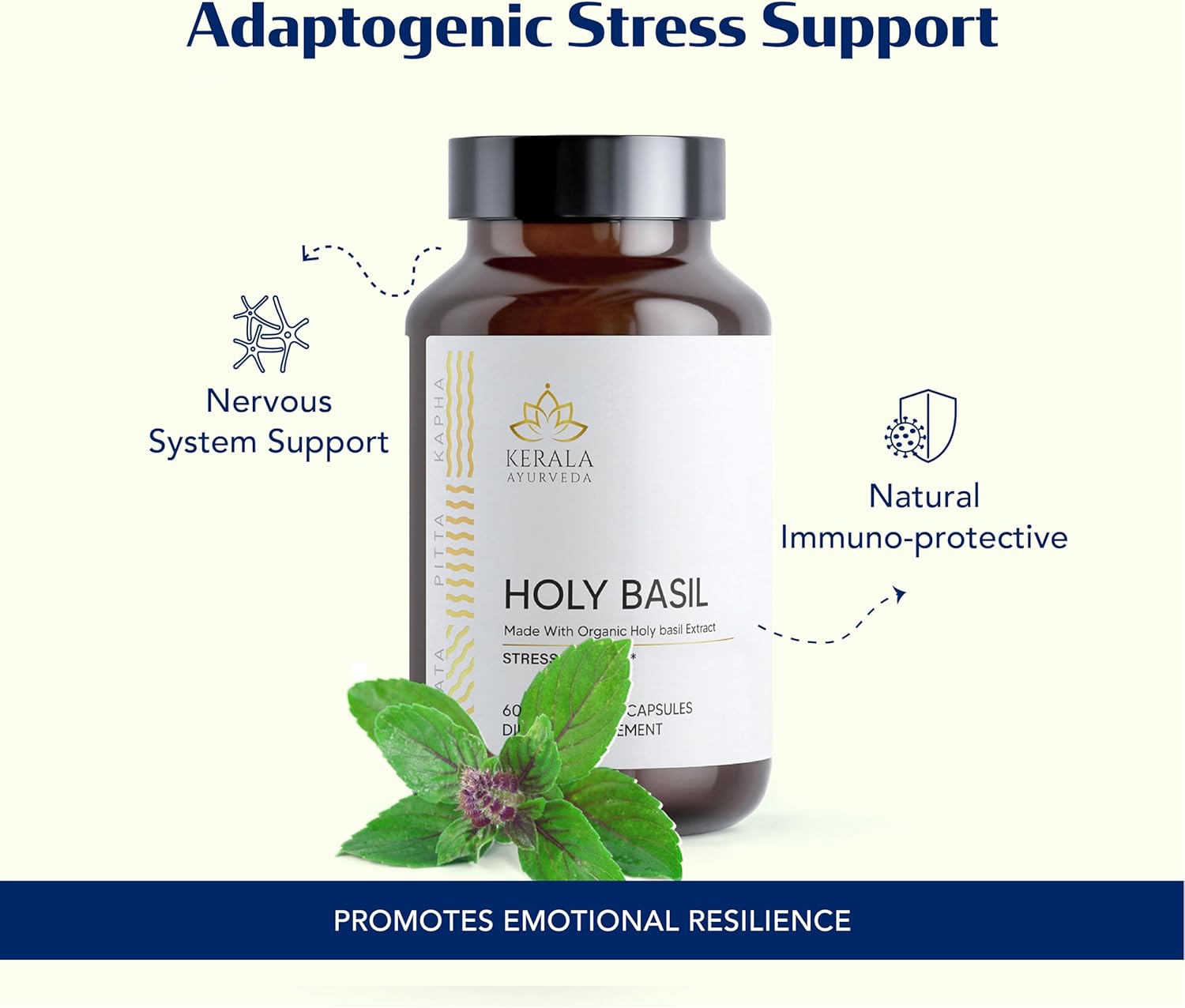Kerala Ayurveda Holy Basil Supplement - Stress Relief & Relaxation | Calming Mind & Body | Immunity Boost - 60 Veg Capsules