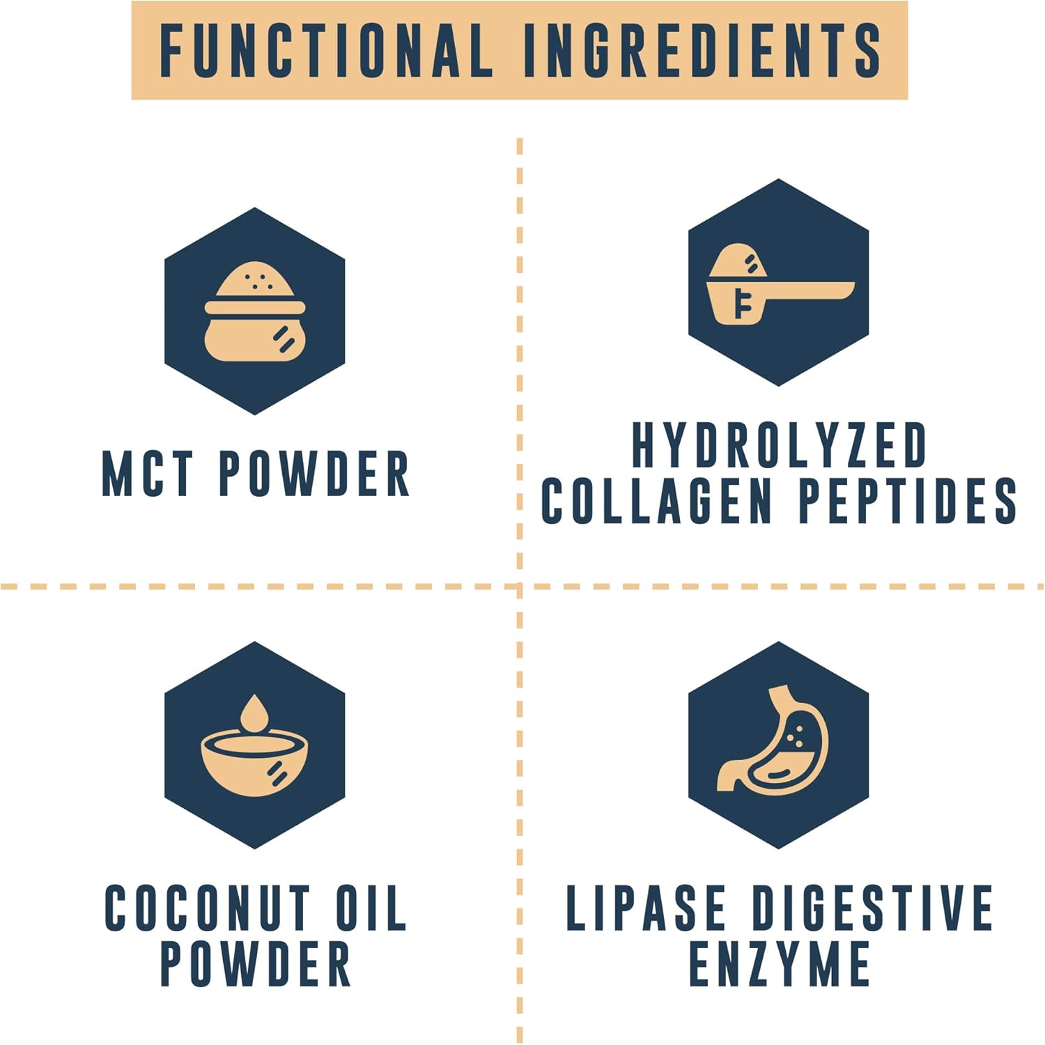 Keto MCT Powder with Collagen for Meal Replacement - Left Coast Performance Keto Cheesecake Flavor