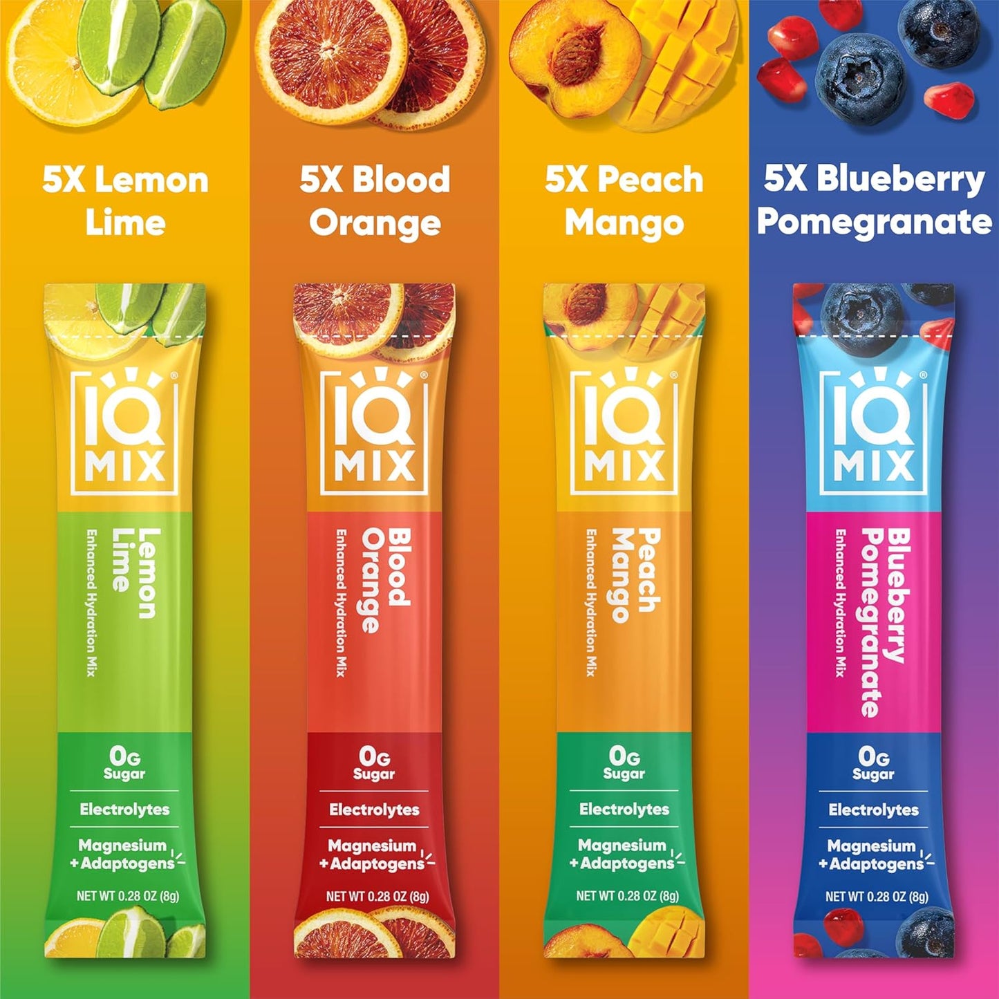 Keto Variety Pack: IQBAR Brain & Body Protein Bars + IQMIX Electrolyte Packets with Lions Mane - Low Carb, Vegan & Sugar Free